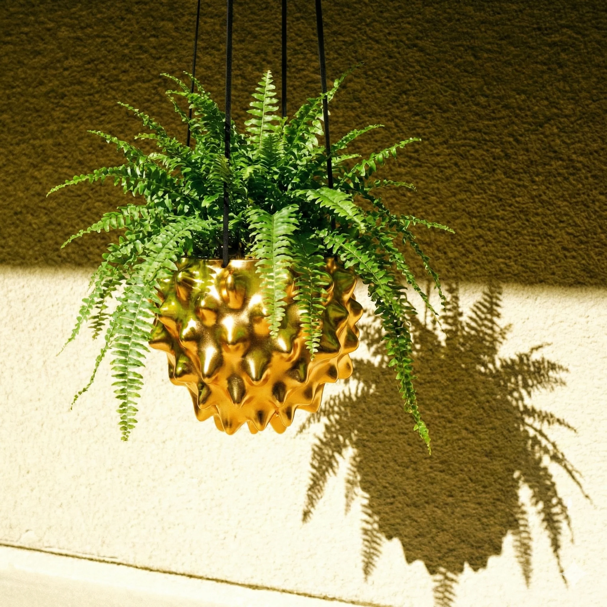 The Creature Orb Hanging Planter Pot With Drainage - Image 9