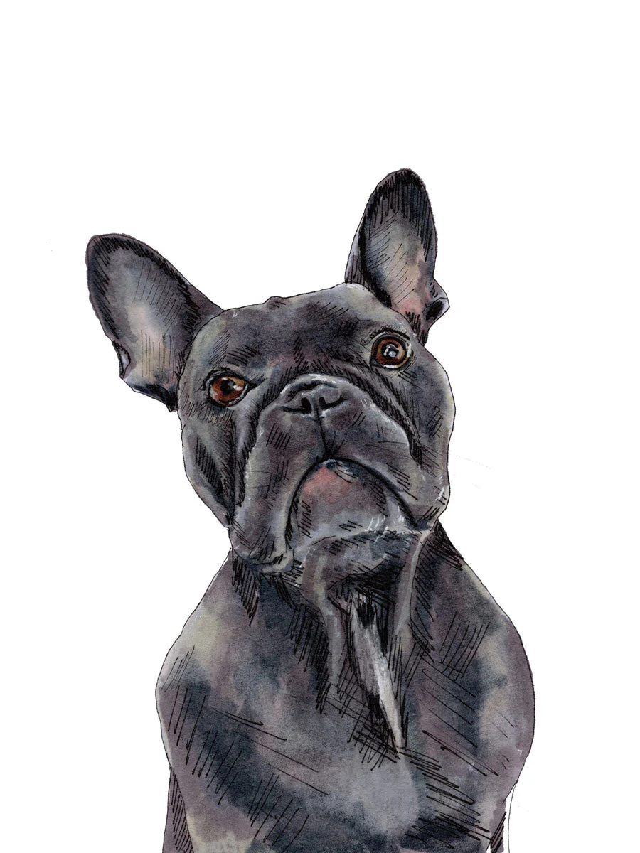 The Frenchie - Open Edition Paper Print - Image 6
