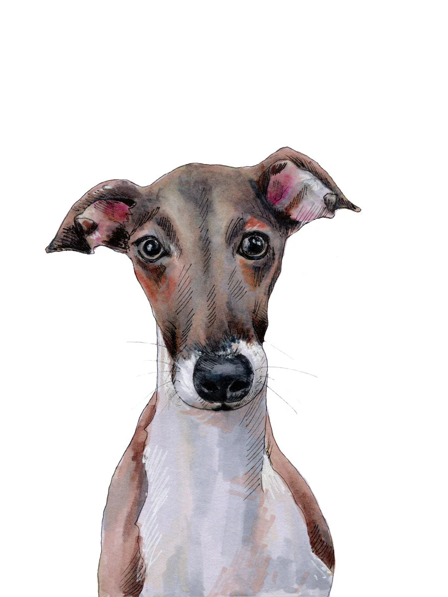 The Iggy - Open Edition Paper Print - Image 6