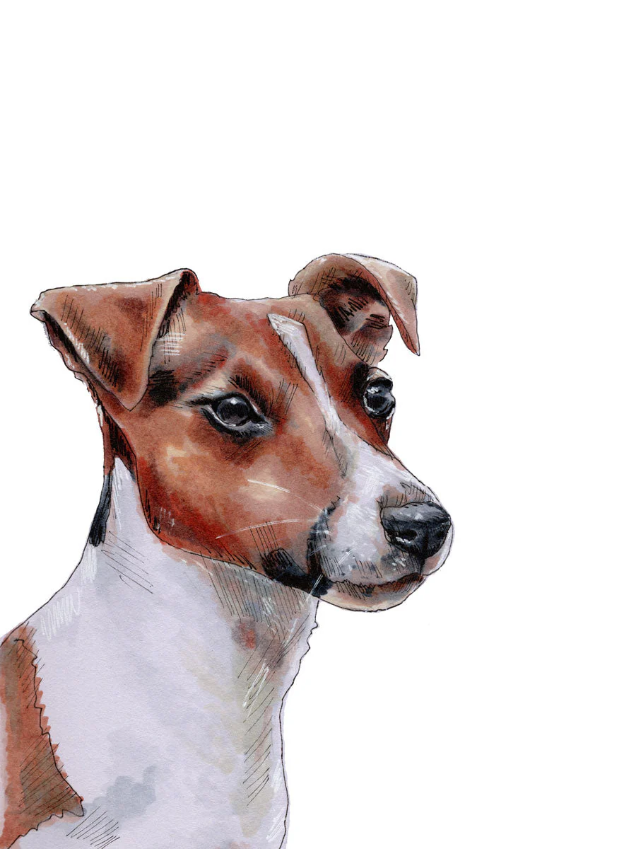 The Jack Russell - Open Edition Paper Print - Image 4