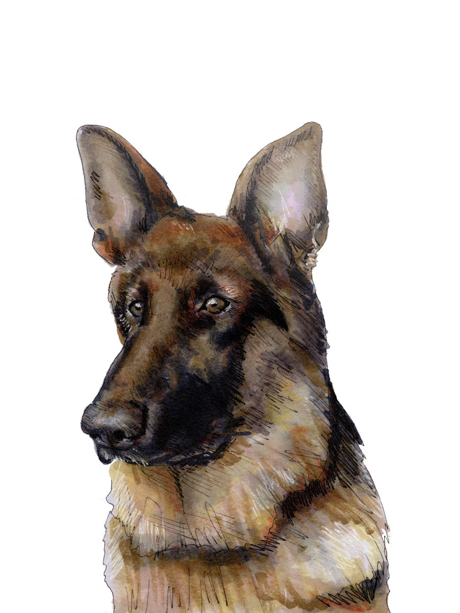The Shepherd - Open Edition Paper Print - Image 6