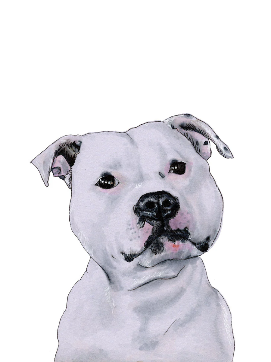 The Staffy - Open Edition Paper Print - Image 6