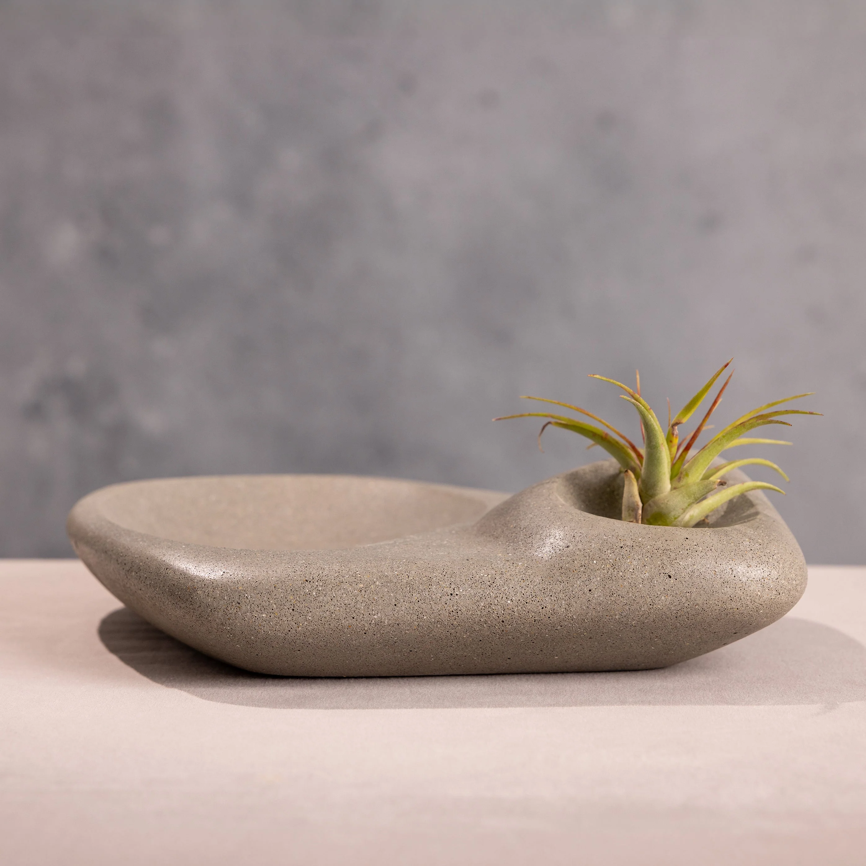 Tide Pool Platter - Image 10