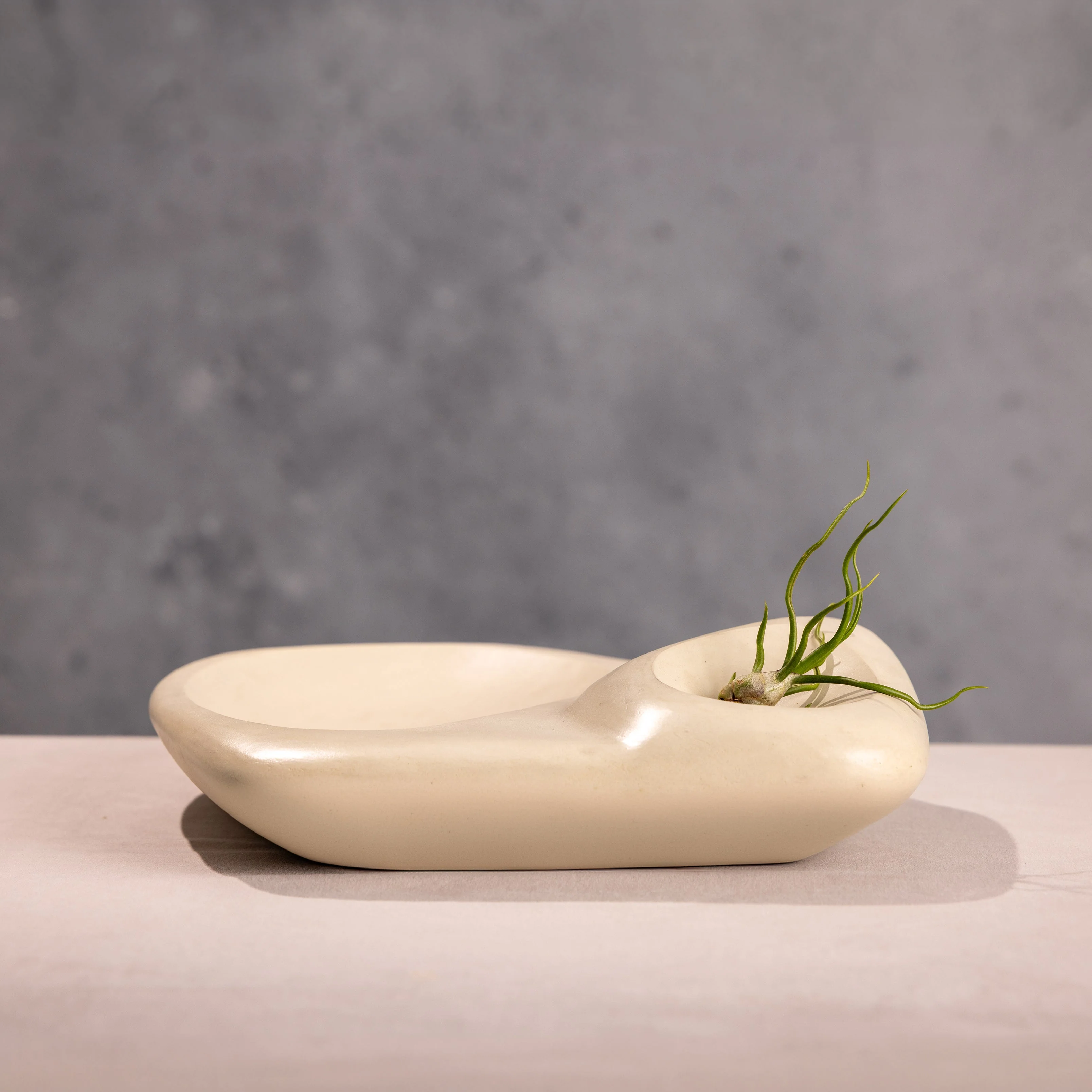 Tide Pool Platter - Image 11