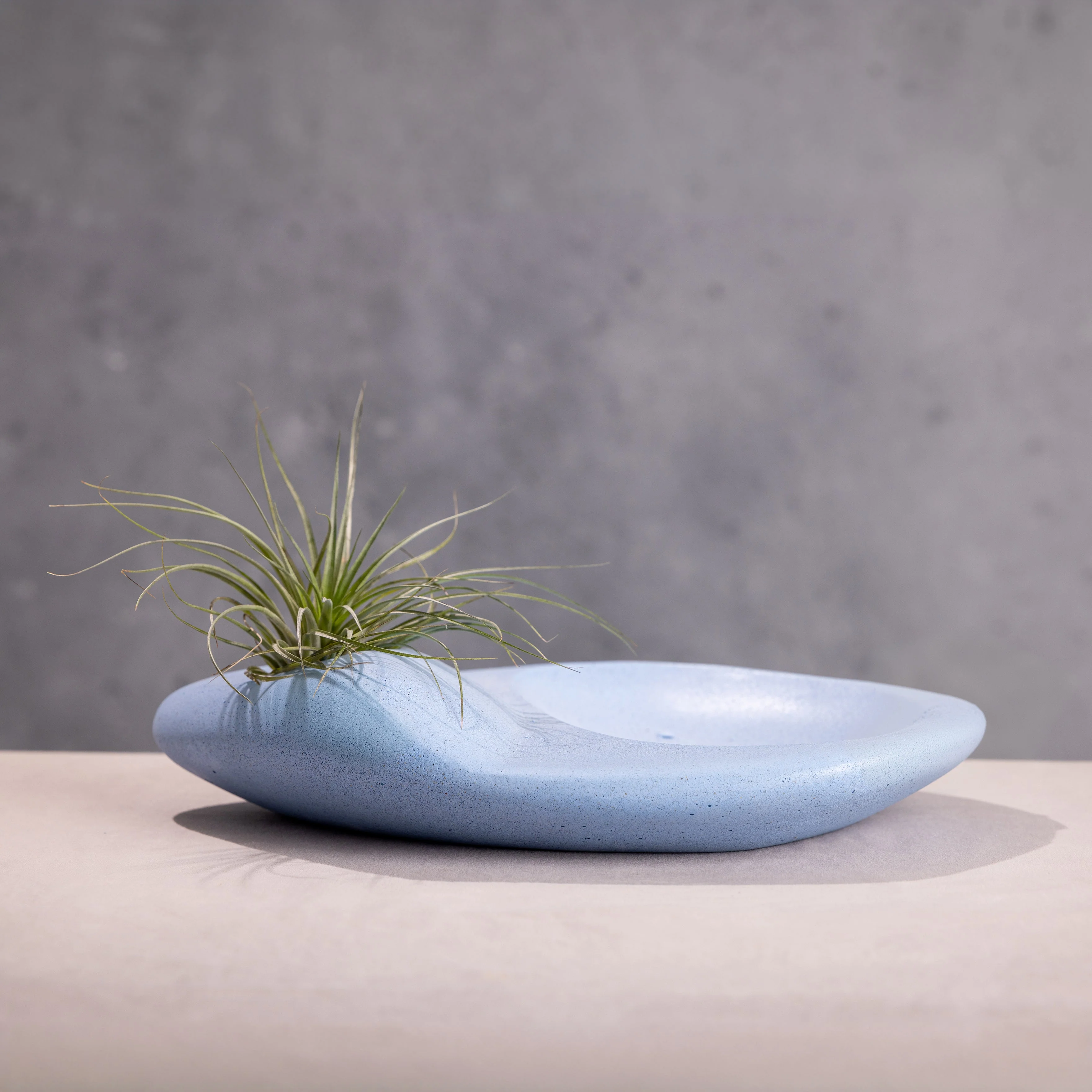 Tide Pool Platter - Image 9