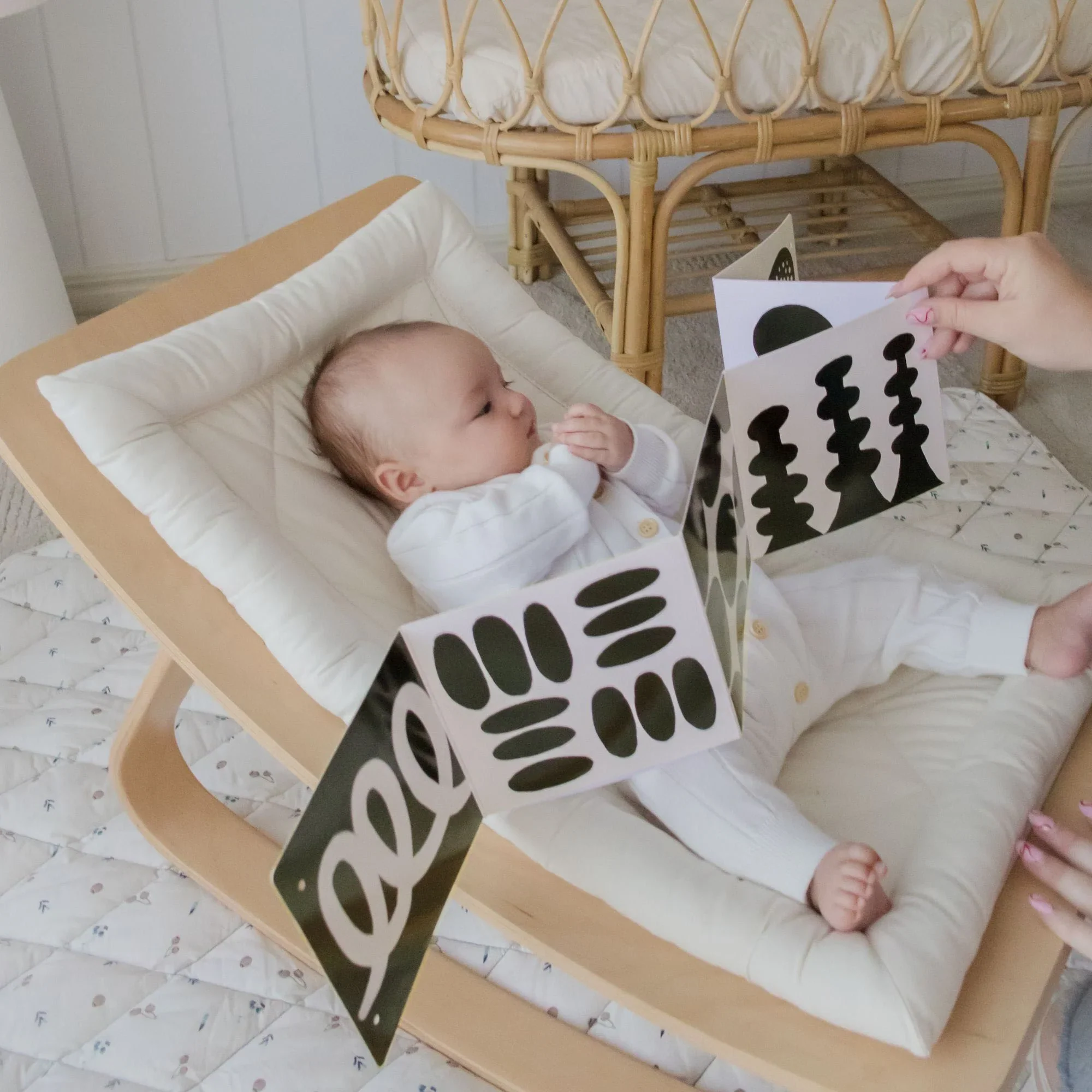 Tiny Land® Montessori Toys for Newborns (0–3 Months) - Image 15