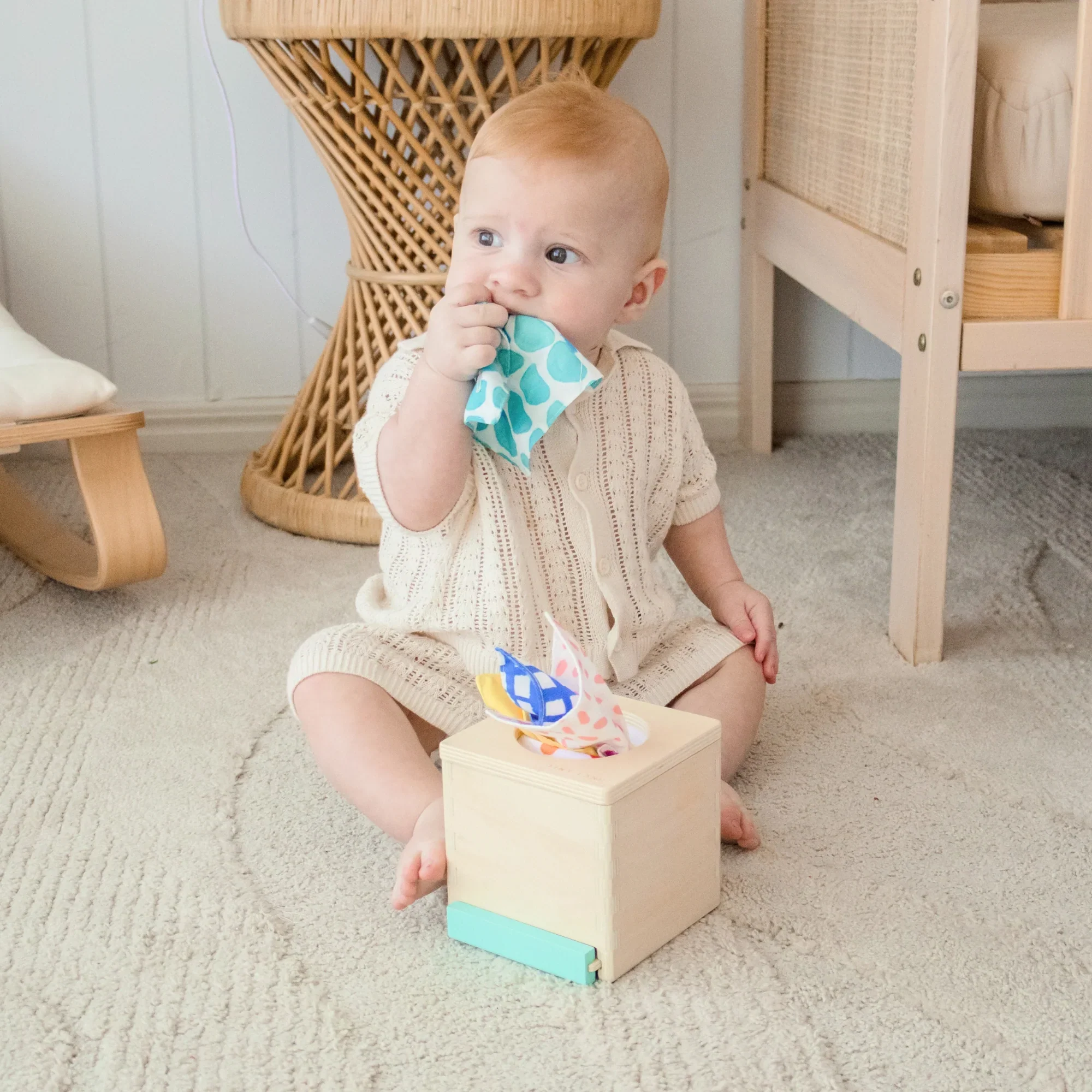 Tiny Land® Montessori Toys for Newborns (4–6 Months) - Image 8