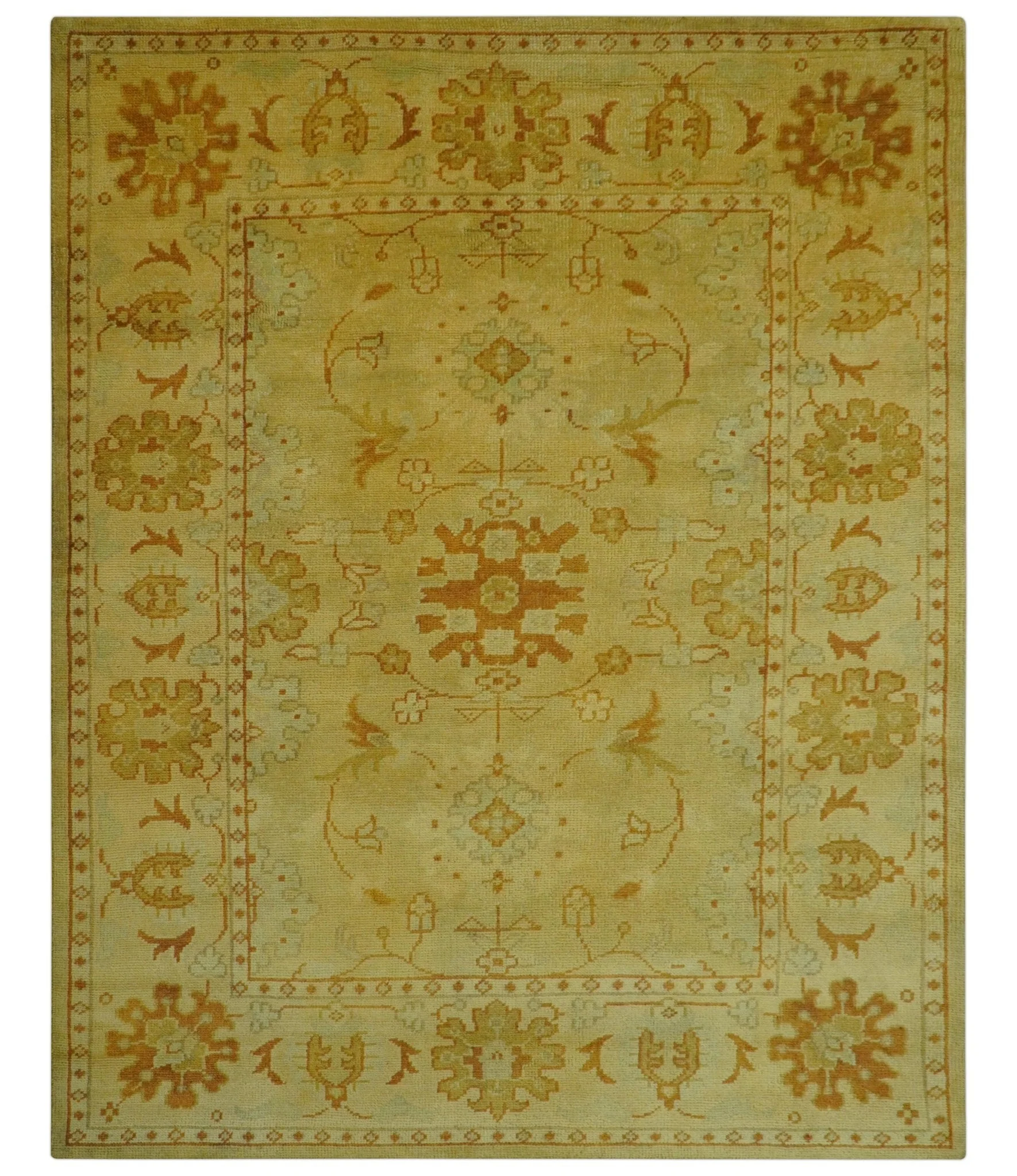 Traditional Design Antique beige and rust 8x10 Hand Knotted Wool Area Rug - Image 10