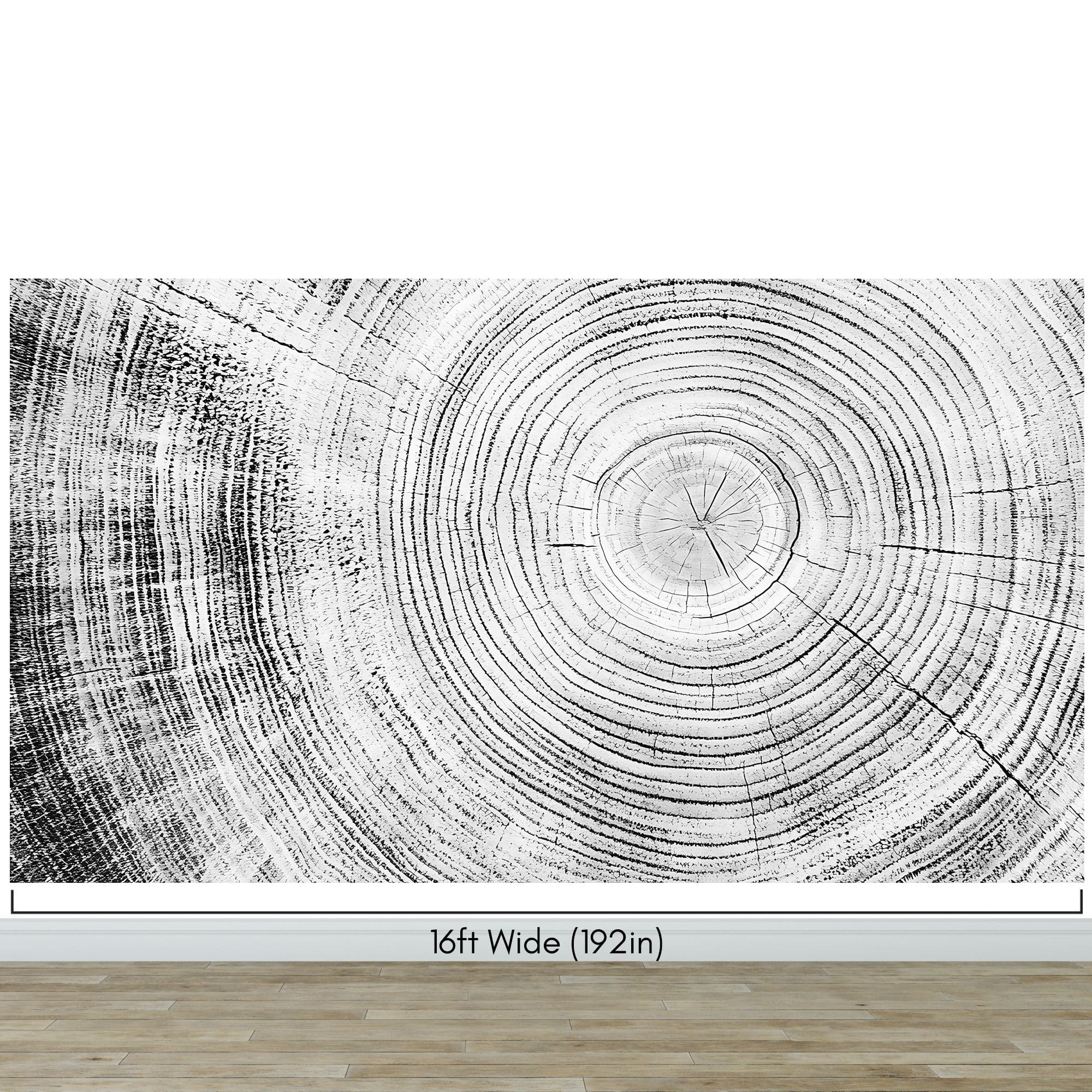 Tree Rings Wallpaper Mural. Black and White  Modern Wood Grain Circle Pattern. #7022 - Image 13