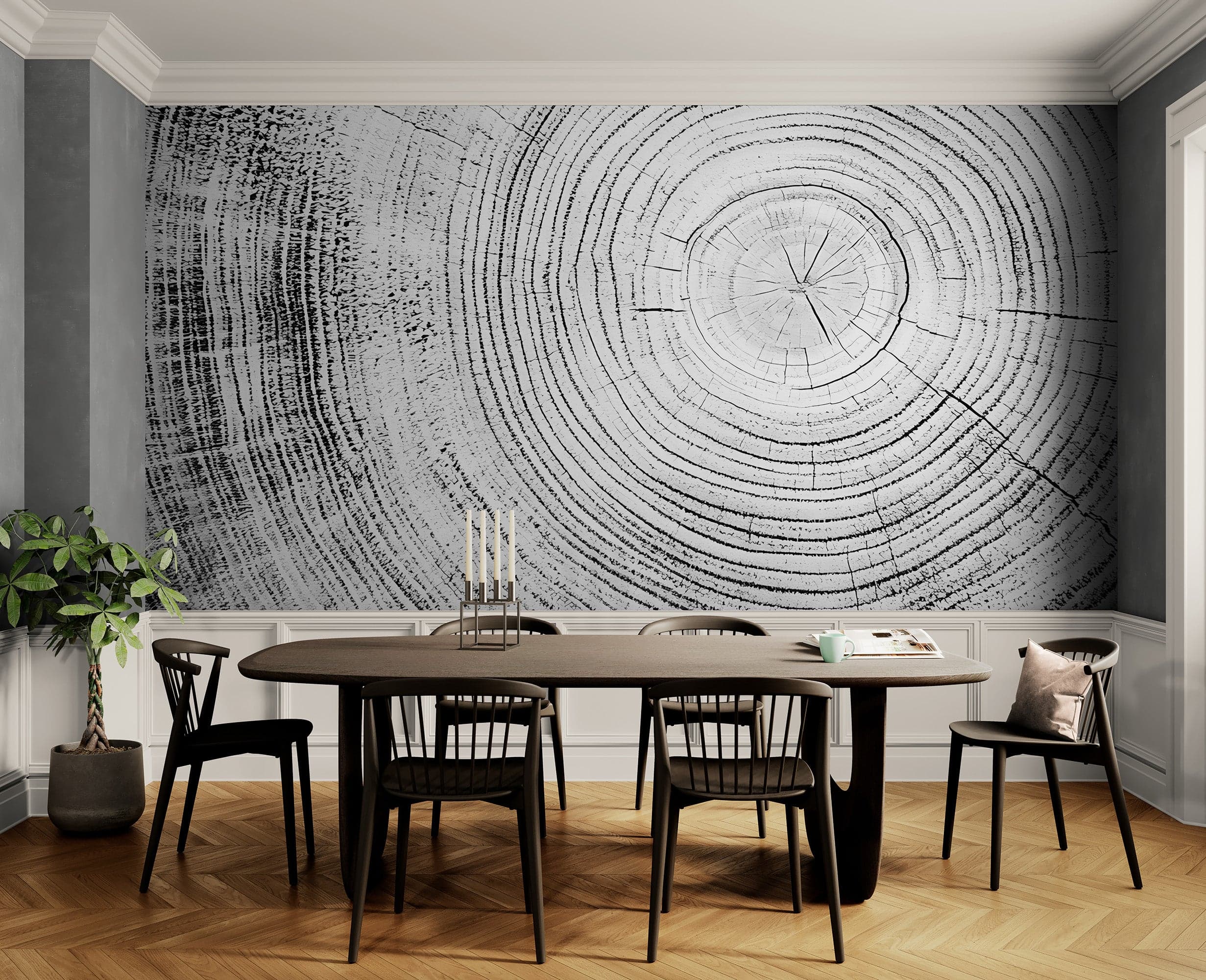 Tree Rings Wallpaper Mural. Black and White  Modern Wood Grain Circle Pattern. #7022 - Image 2