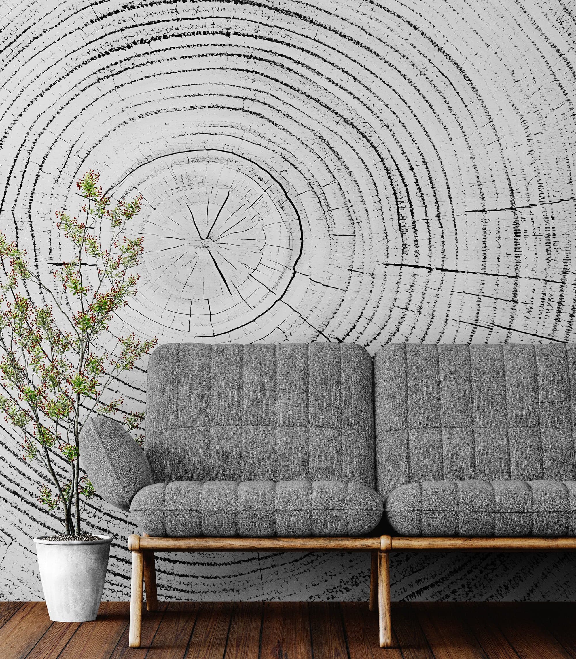 Tree Rings Wallpaper Mural. Black and White  Modern Wood Grain Circle Pattern. #7022 - Image 5