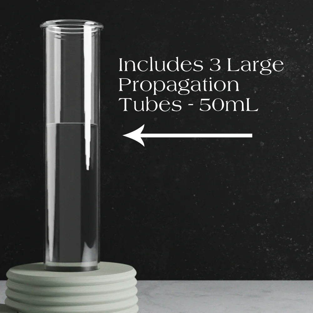 Triple Bubble Propagation Station - Image 2
