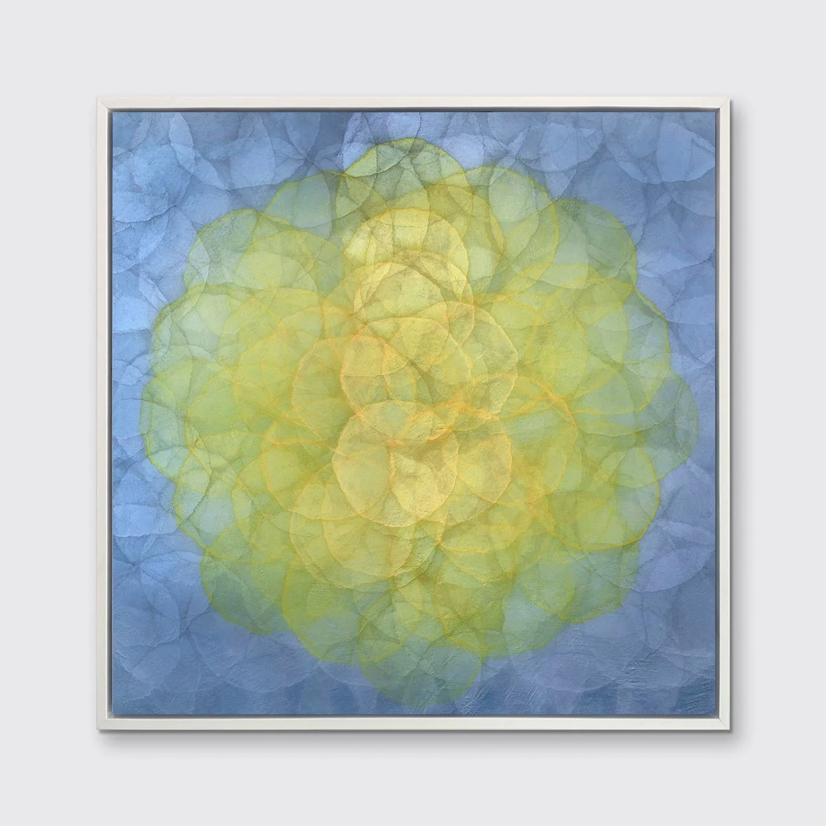 Triteleia - Limited Edition Canvas Print - Image 3