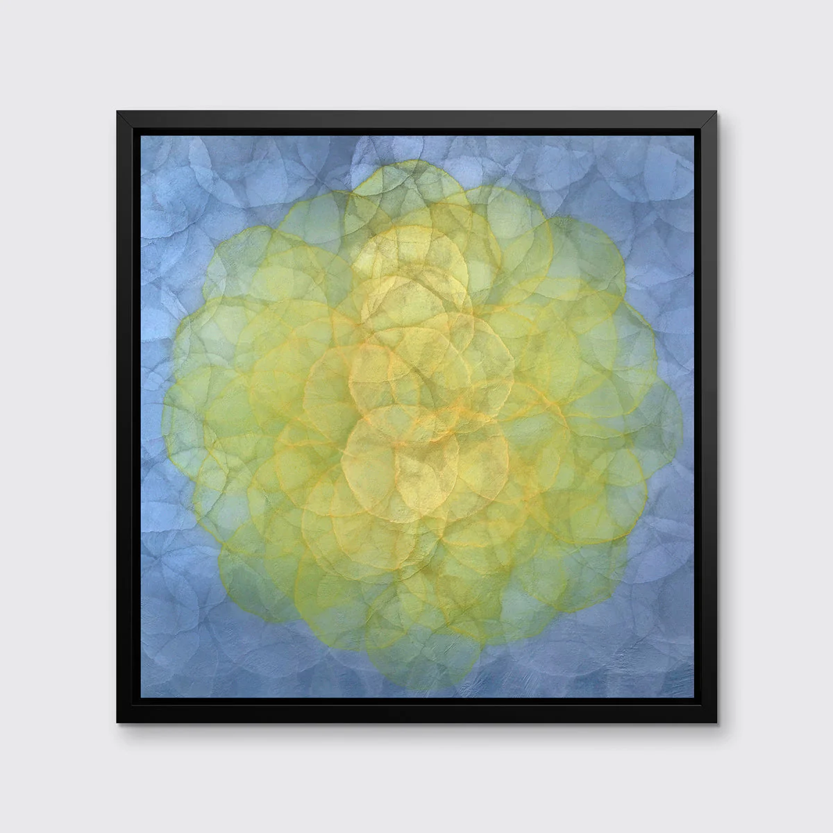 Triteleia - Limited Edition Canvas Print - Image 5