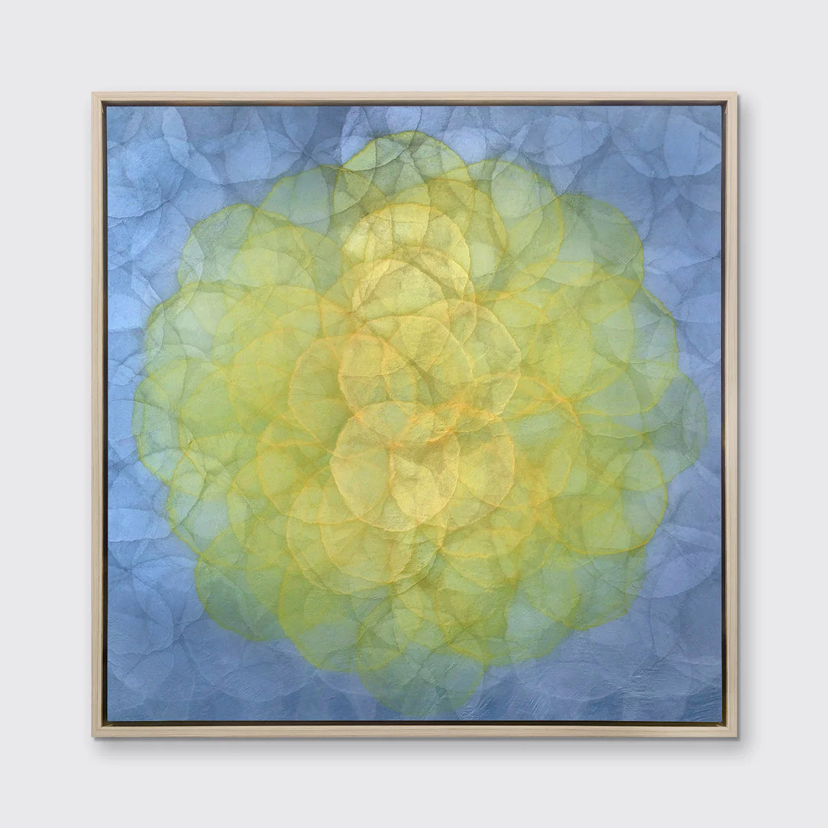 Triteleia - Limited Edition Canvas Print - Image 6
