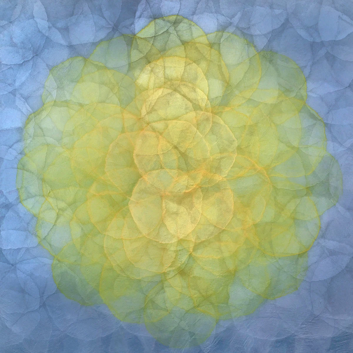 Triteleia - Limited Edition Canvas Print - Image 7