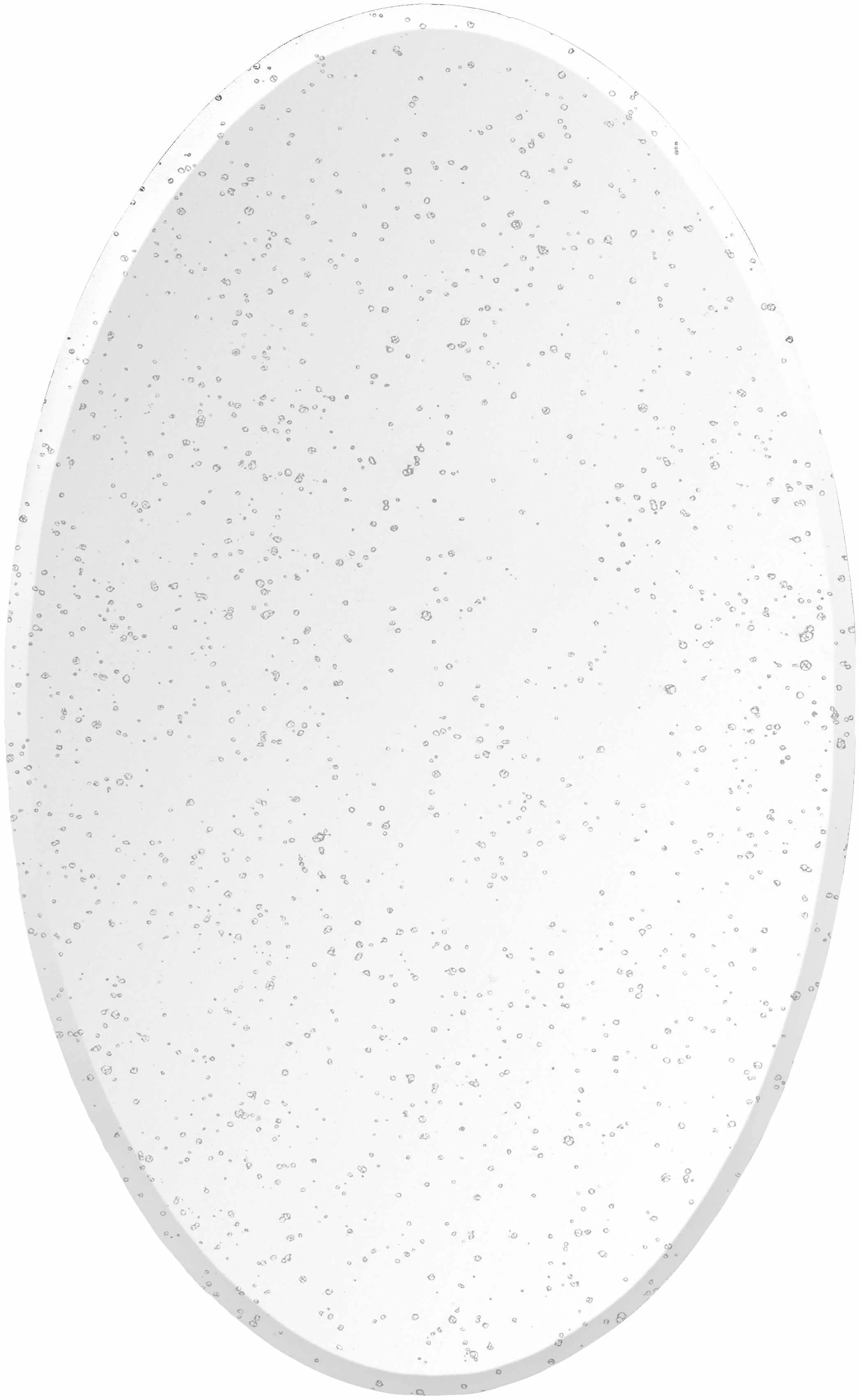 Tunga Mirror - Clearance - Image 4
