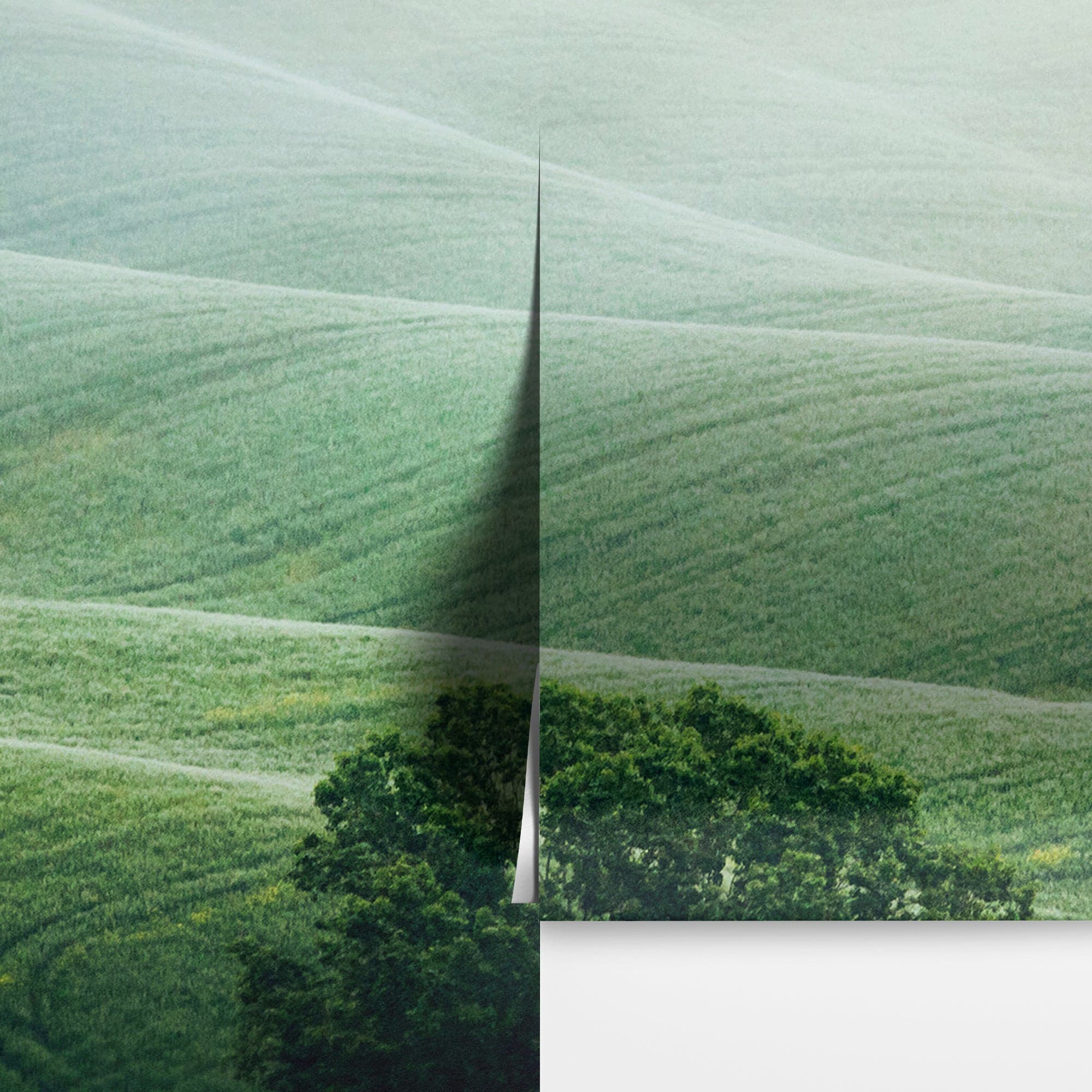 Tuscany Rolling Hills Meadow Wall Mural. Italian Countryside. #7053 - Image 13