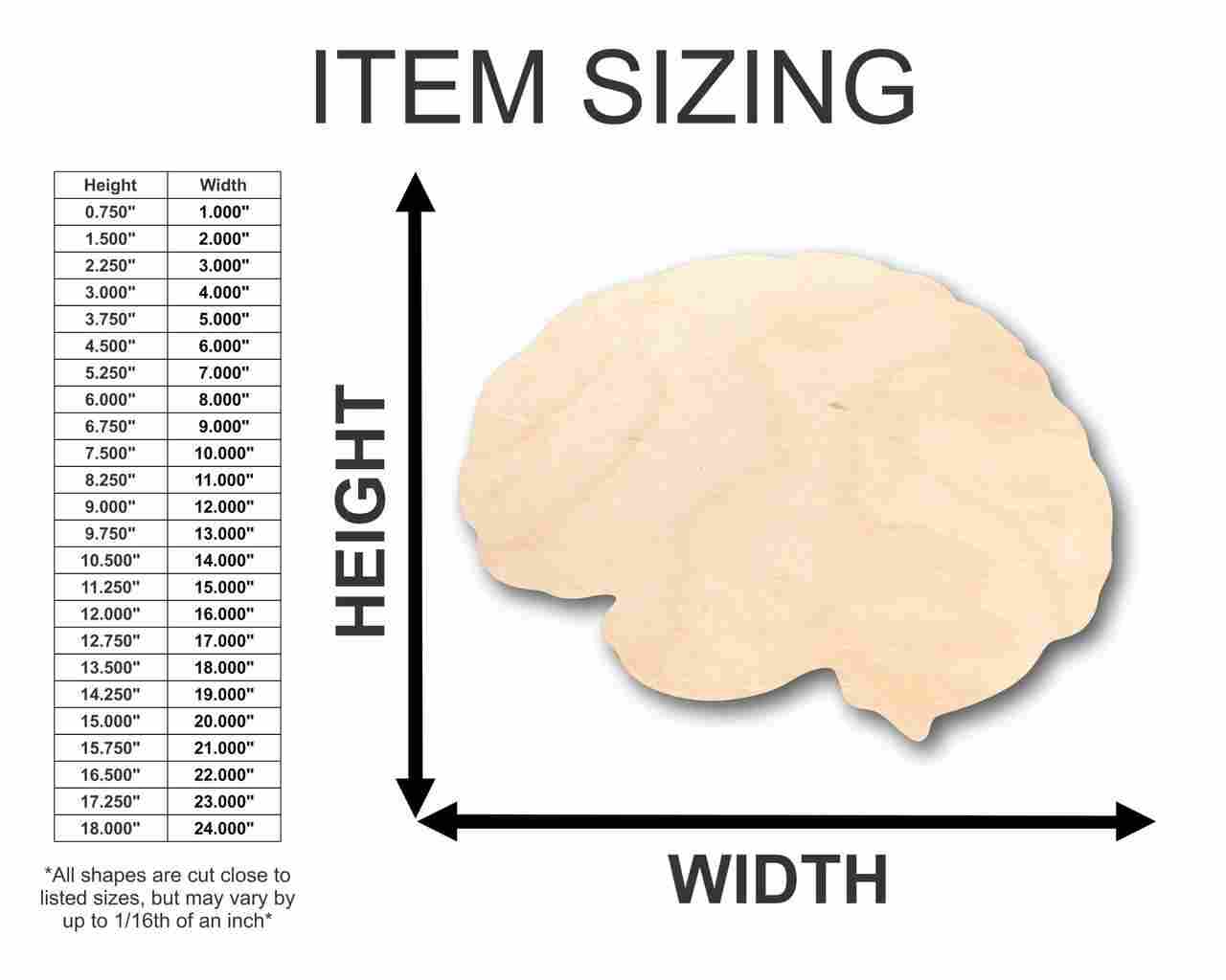 Unfinished Wood Brain Shape - Science - Craft - up to 46" DIY - Image 2