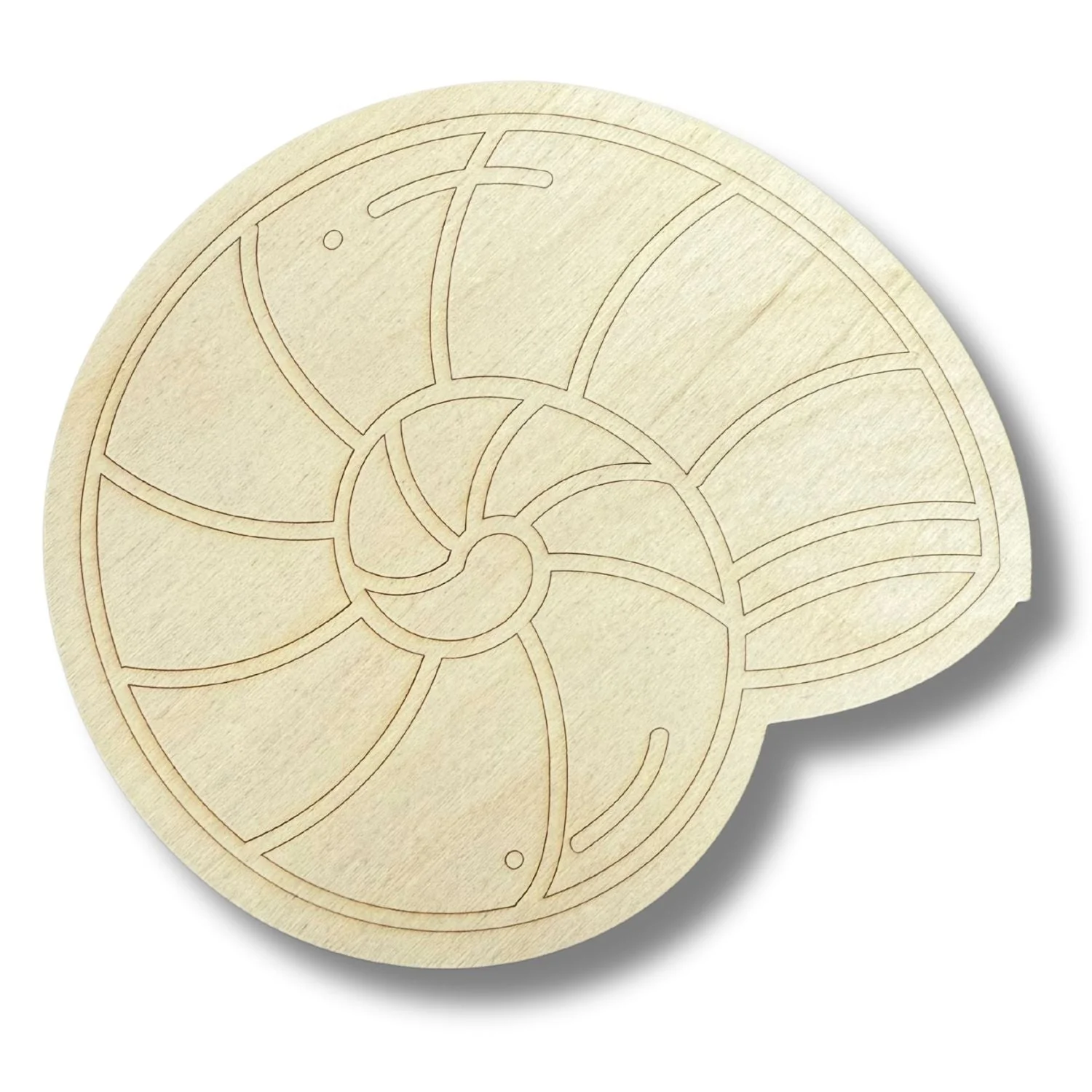 Unfinished Wood Etched Sea Shell Shape | Paint By Line Crafts | up to 30" DIY - Image 2
