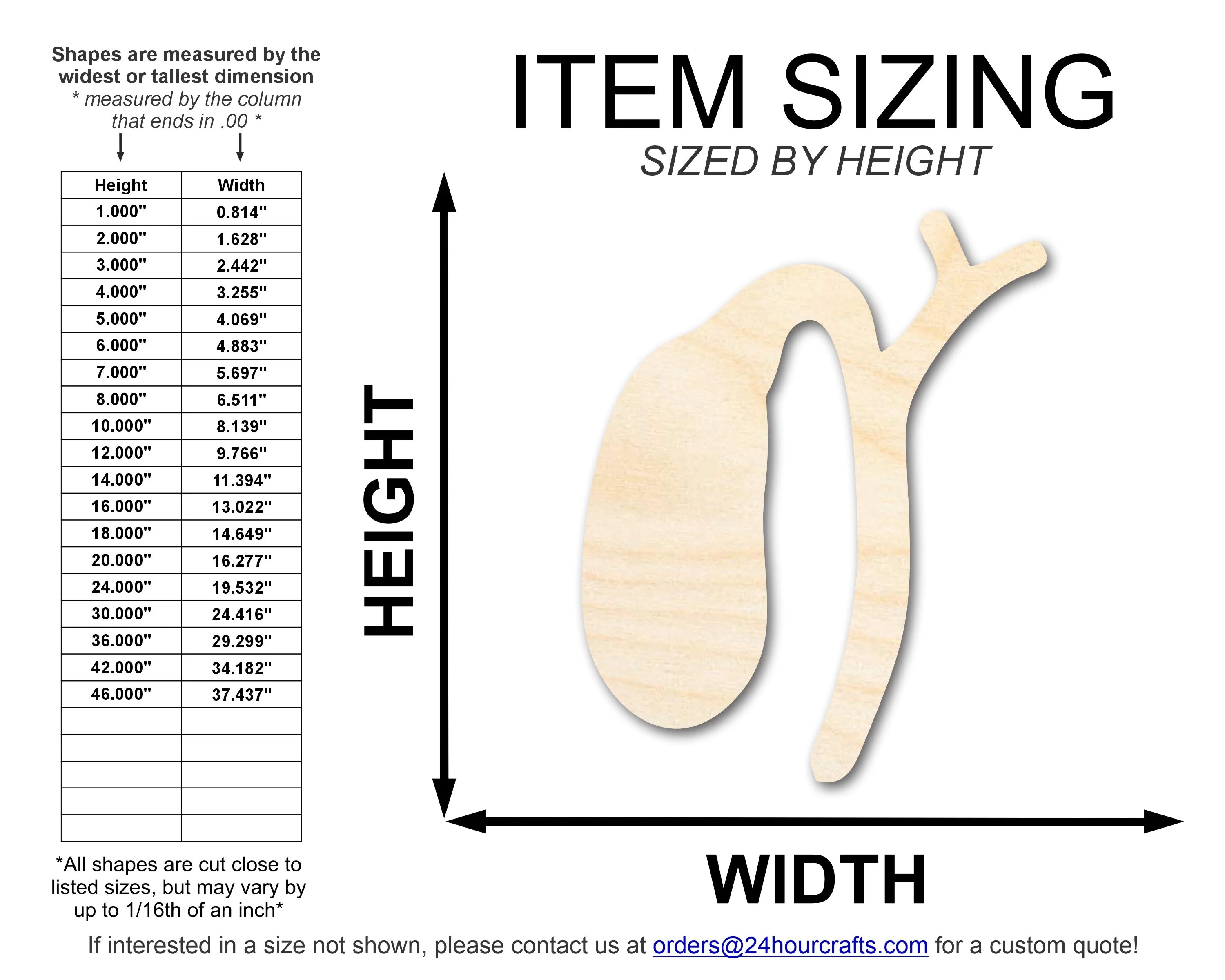 Unfinished Wood Gallbladder Shape | DIY Craft Cutout | up to 46" DIY - Image 2