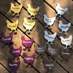 Unfinished Wood Hen Chicken Shape - Farm Animal - Craft - up to 46" DIY - Image 5