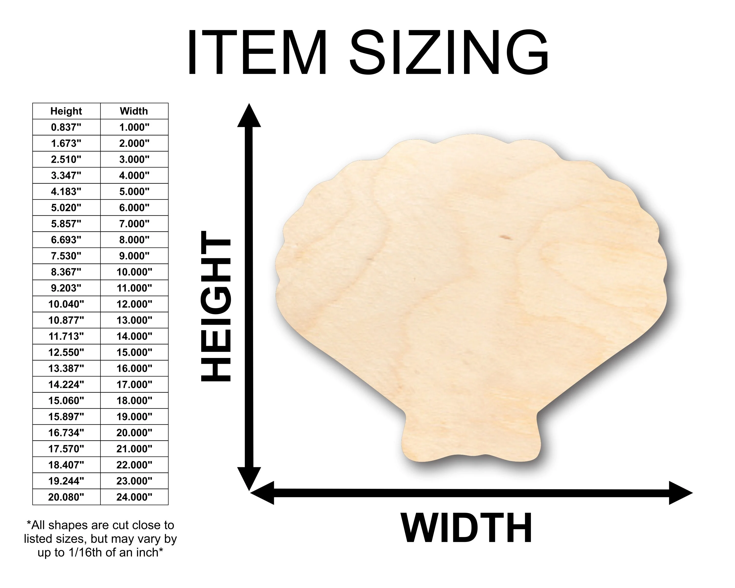 Unfinished Wood Sea Shell Clam Shape - Craft - up to 46" DIY - Image 2
