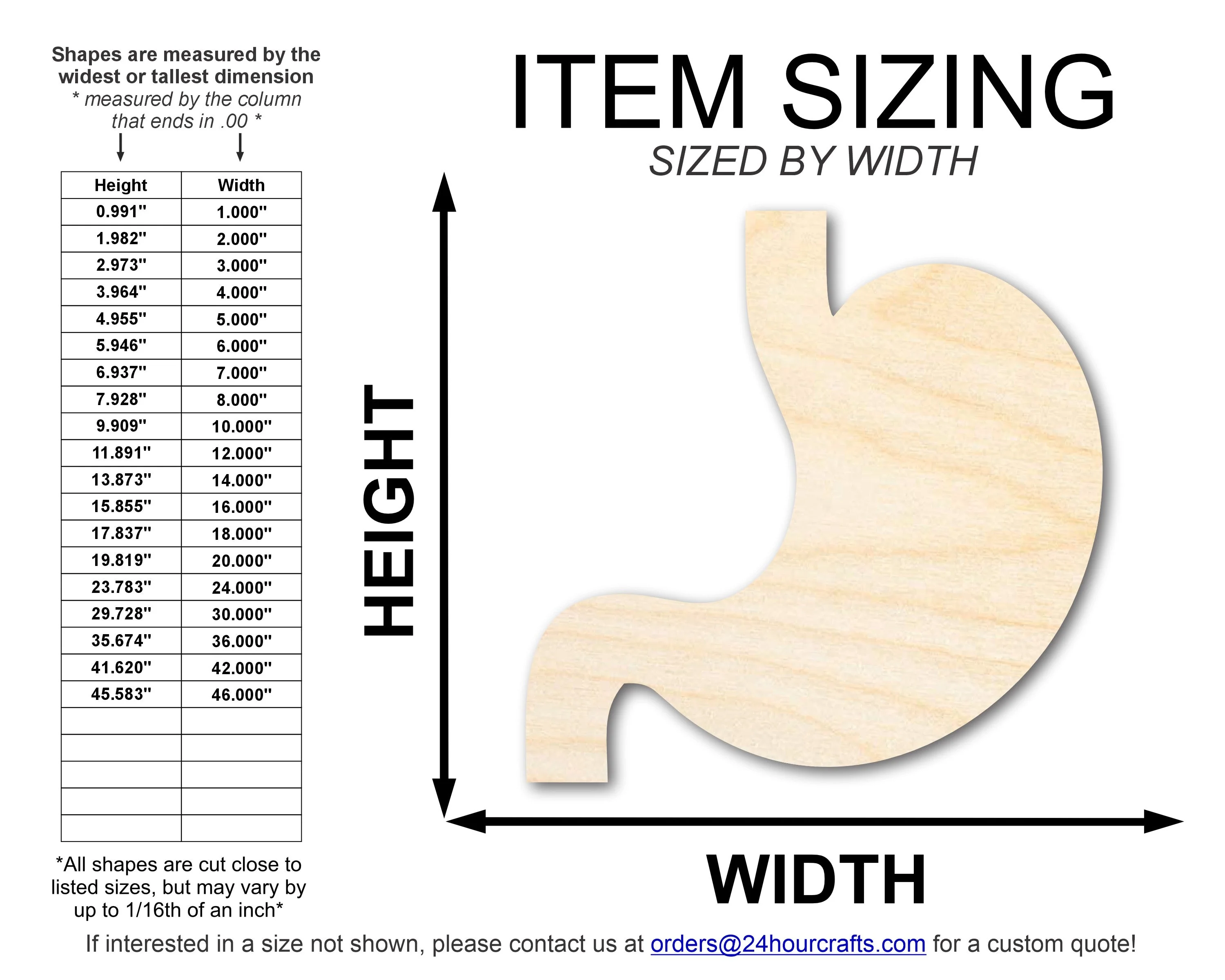 Unfinished Wood Stomach Shape | DIY Craft Cutout | up to 46" DIY - Image 2