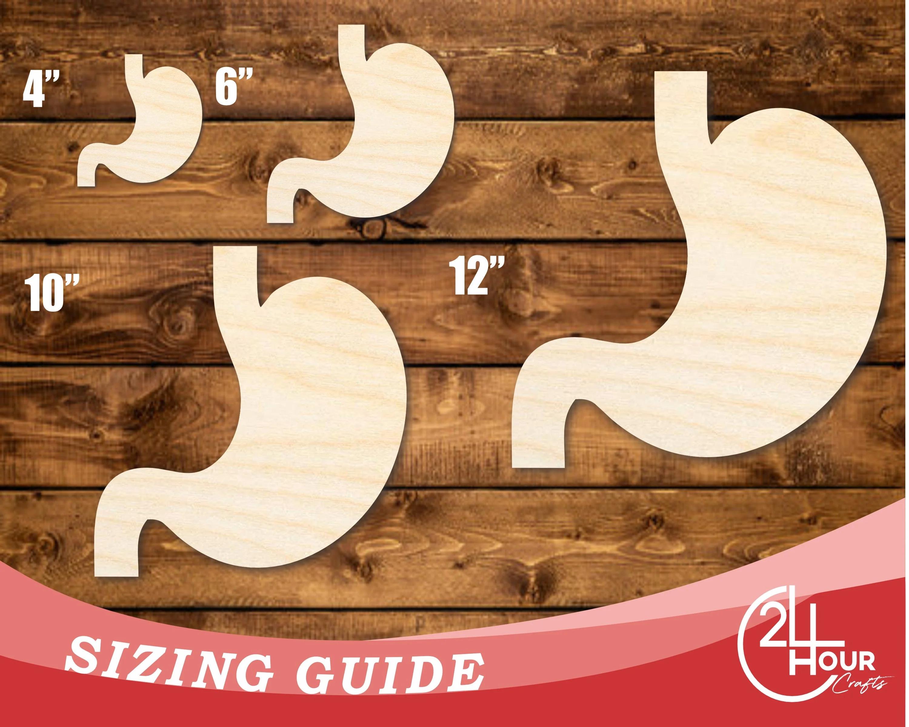 Unfinished Wood Stomach Shape | DIY Craft Cutout | up to 46" DIY - Image 3