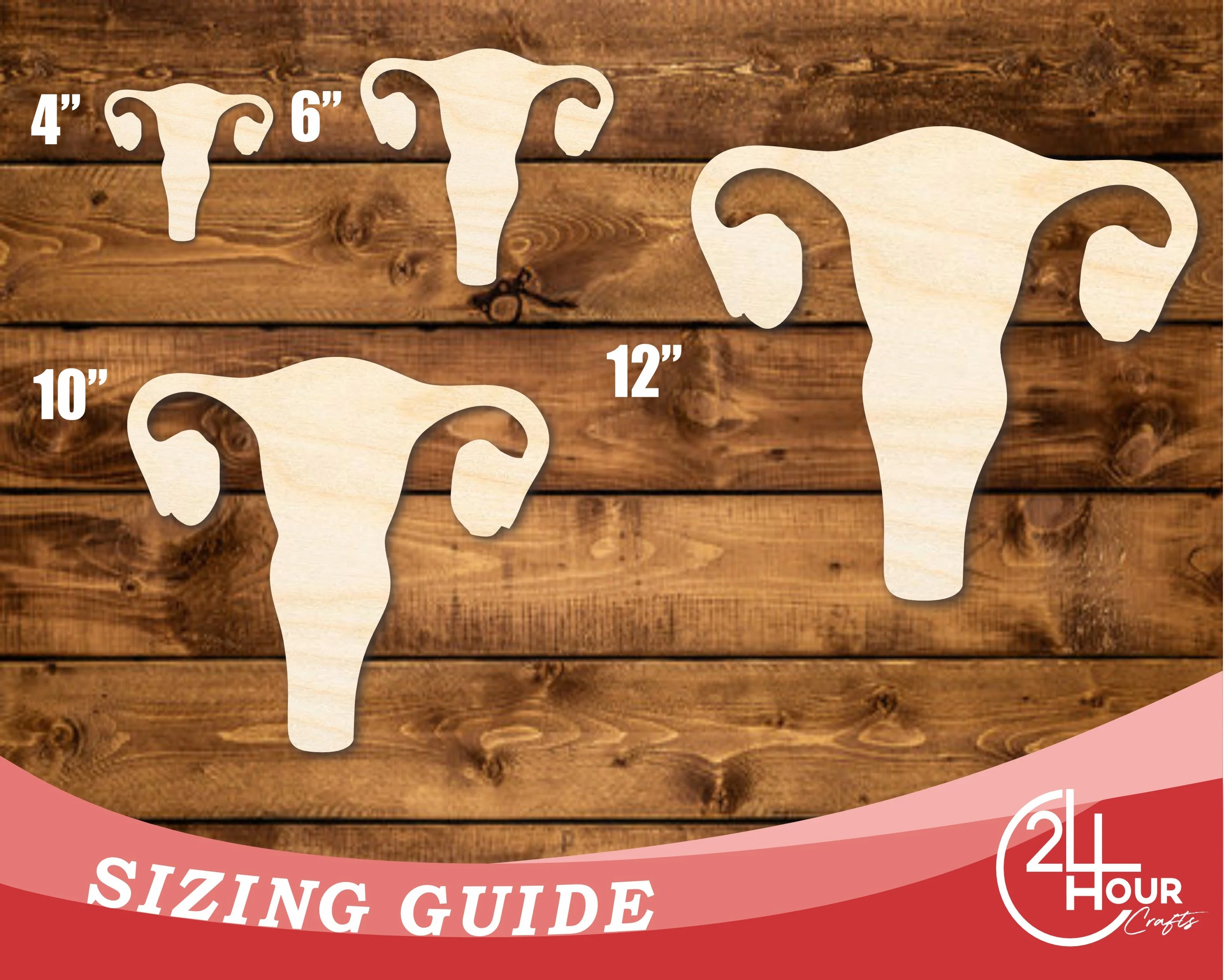 Unfinished Wood Uterus Shape | DIY Craft Cutout | up to 46" DIY - Image 3