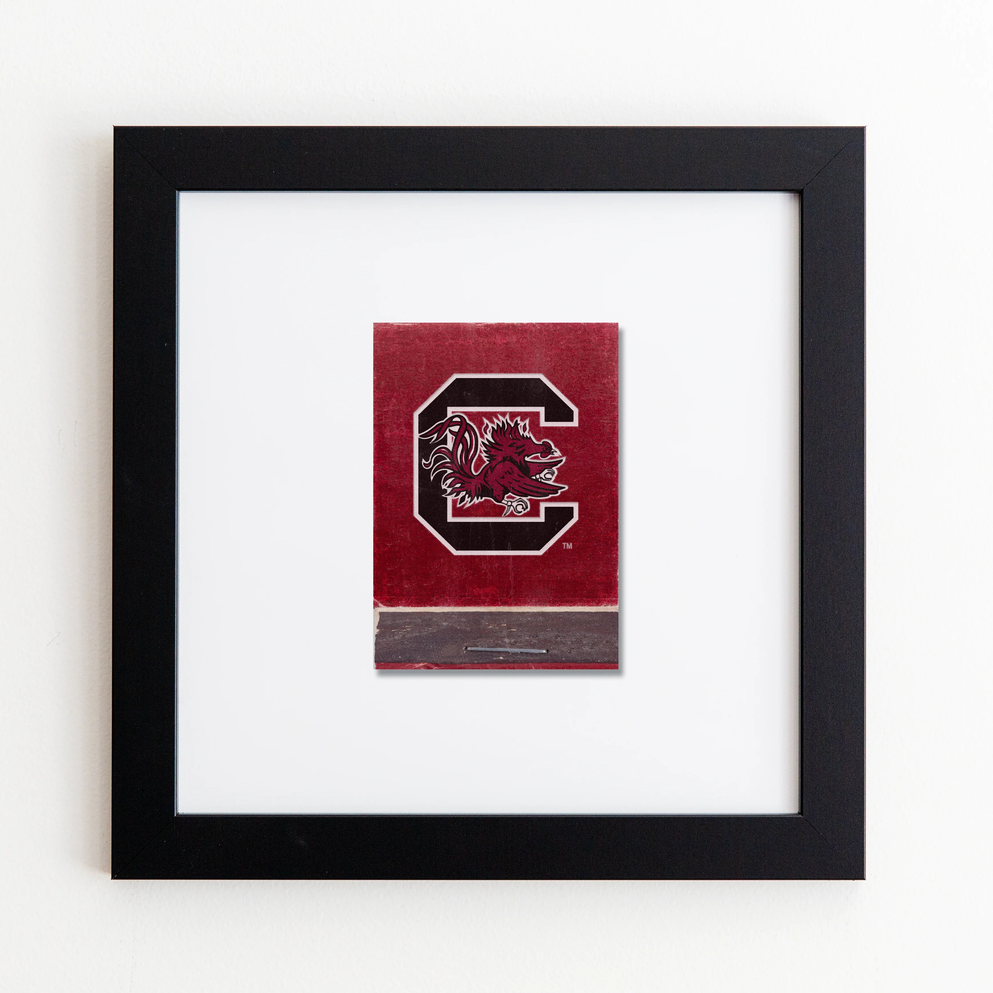 University of South Carolina Vol. 2 - Image 2