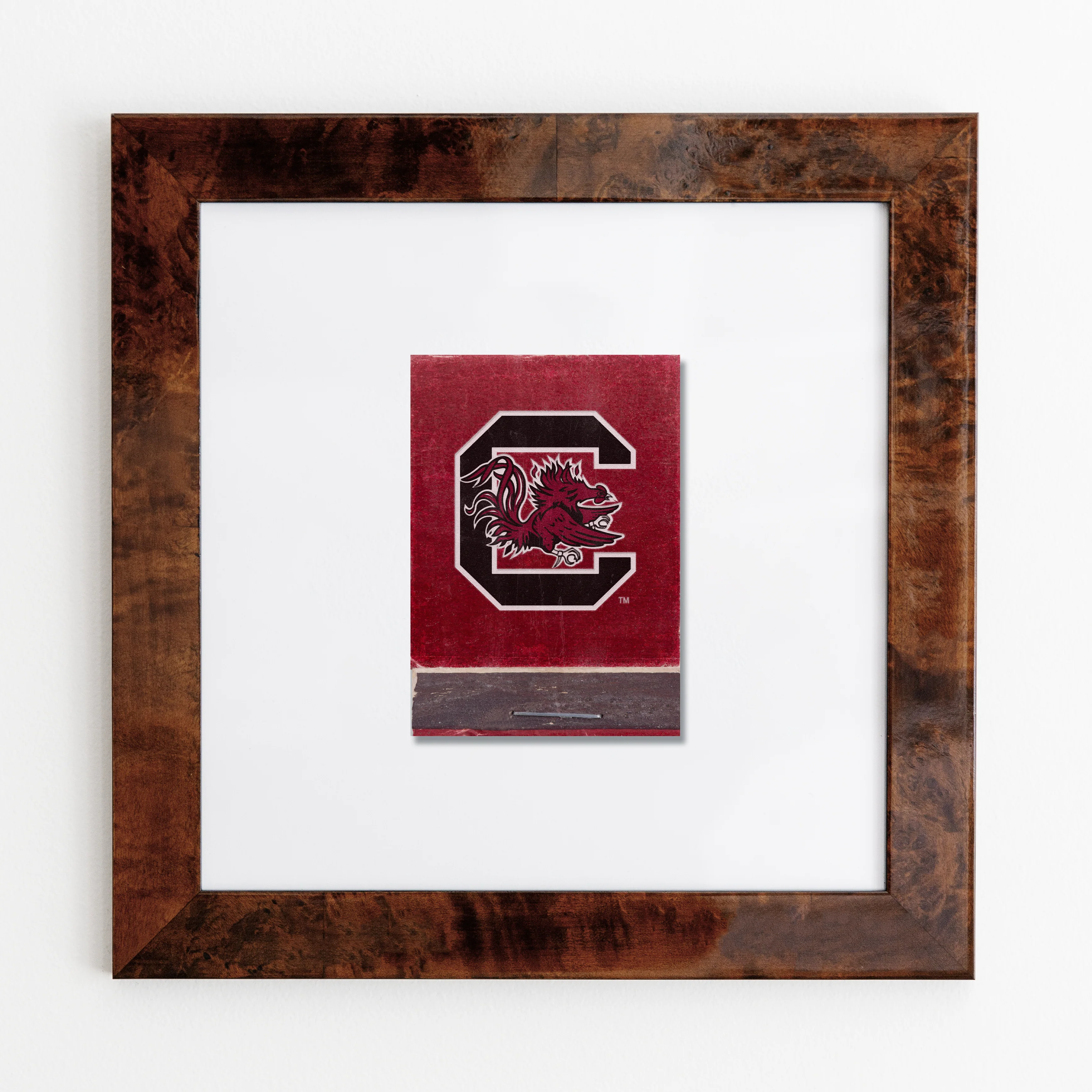 University of South Carolina Vol. 2 - Image 3