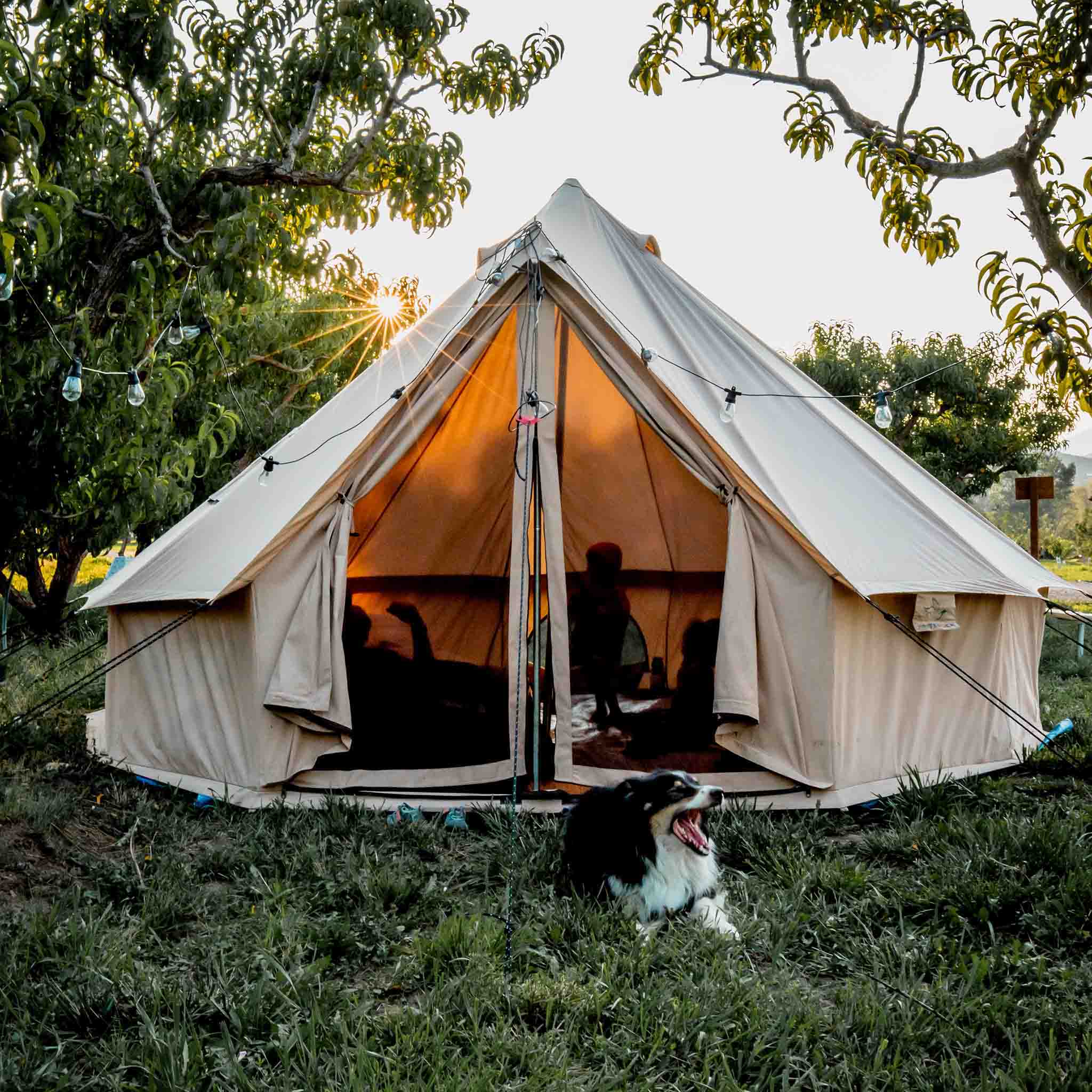Used - 13' Regatta Bell Tent - Sandstone Beige - Image 2