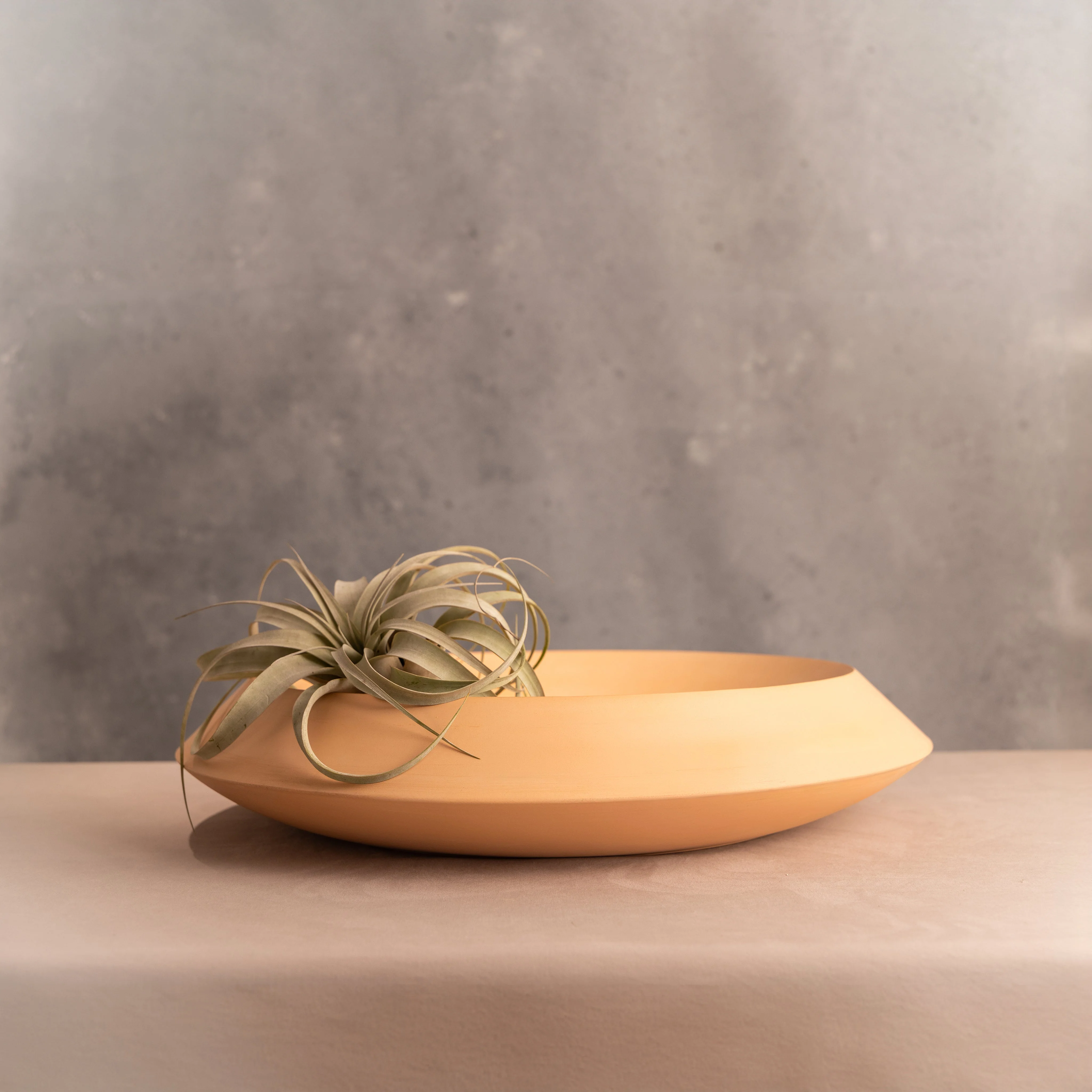Utopia Platter - Image 5
