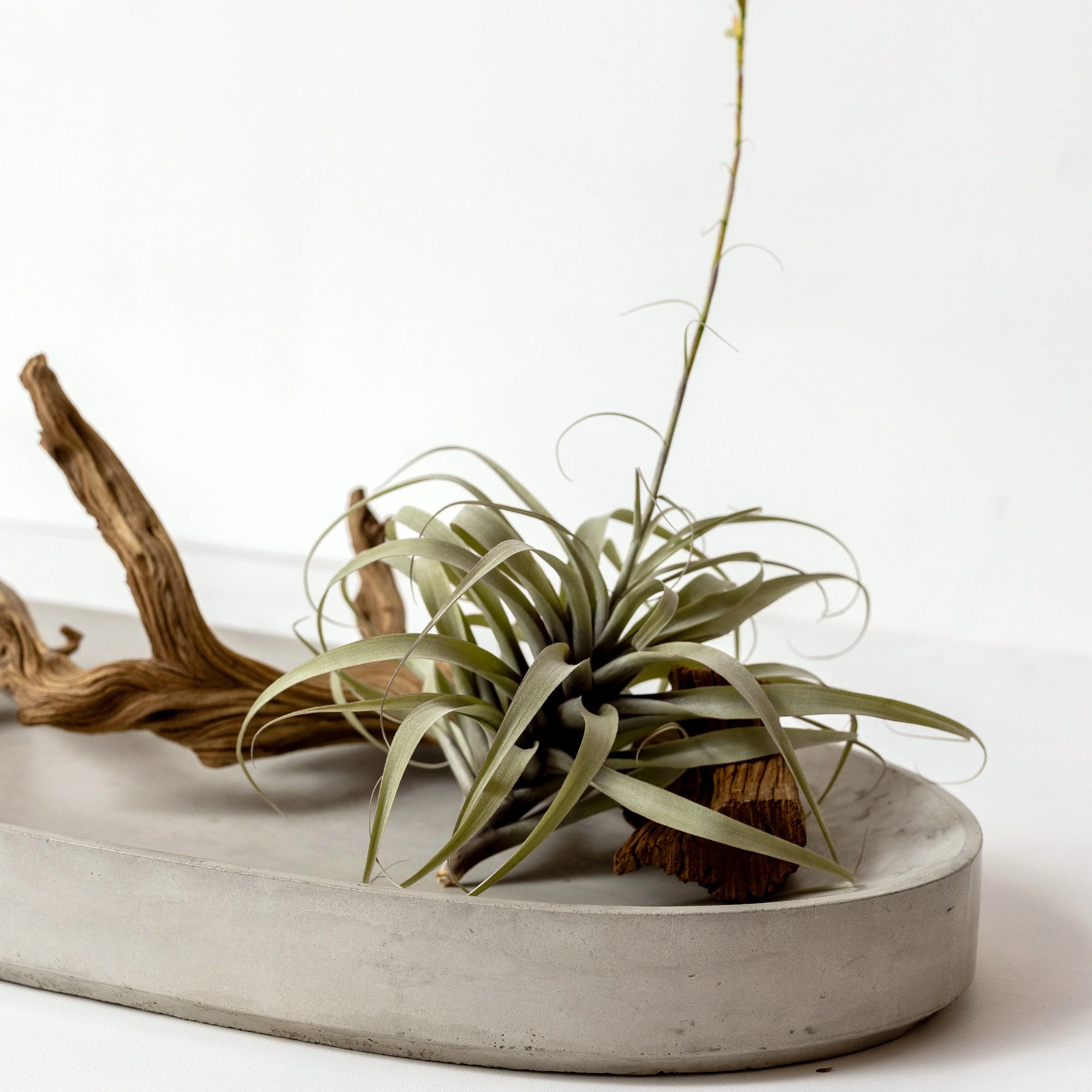 Valley Oval Platter - Image 2