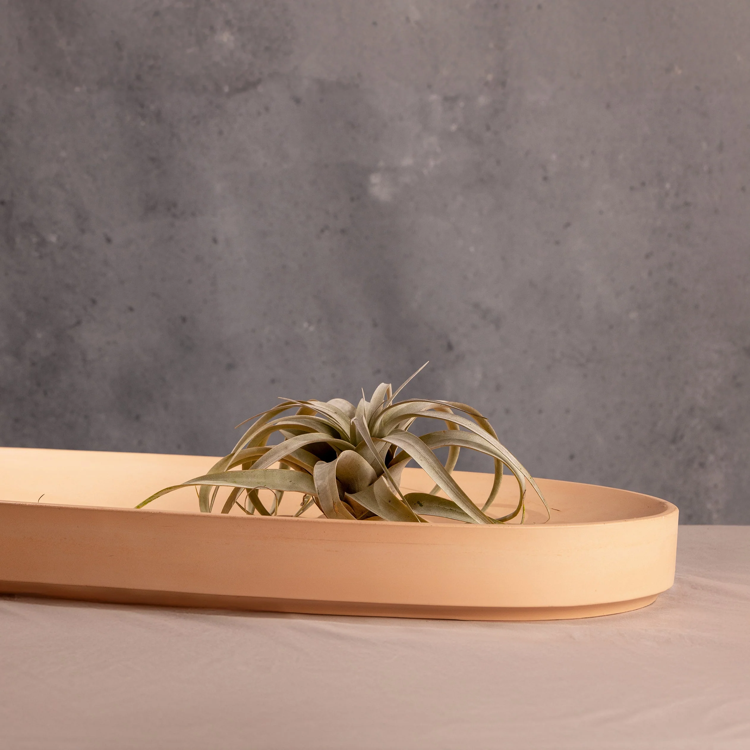 Valley Oval Platter - Image 8