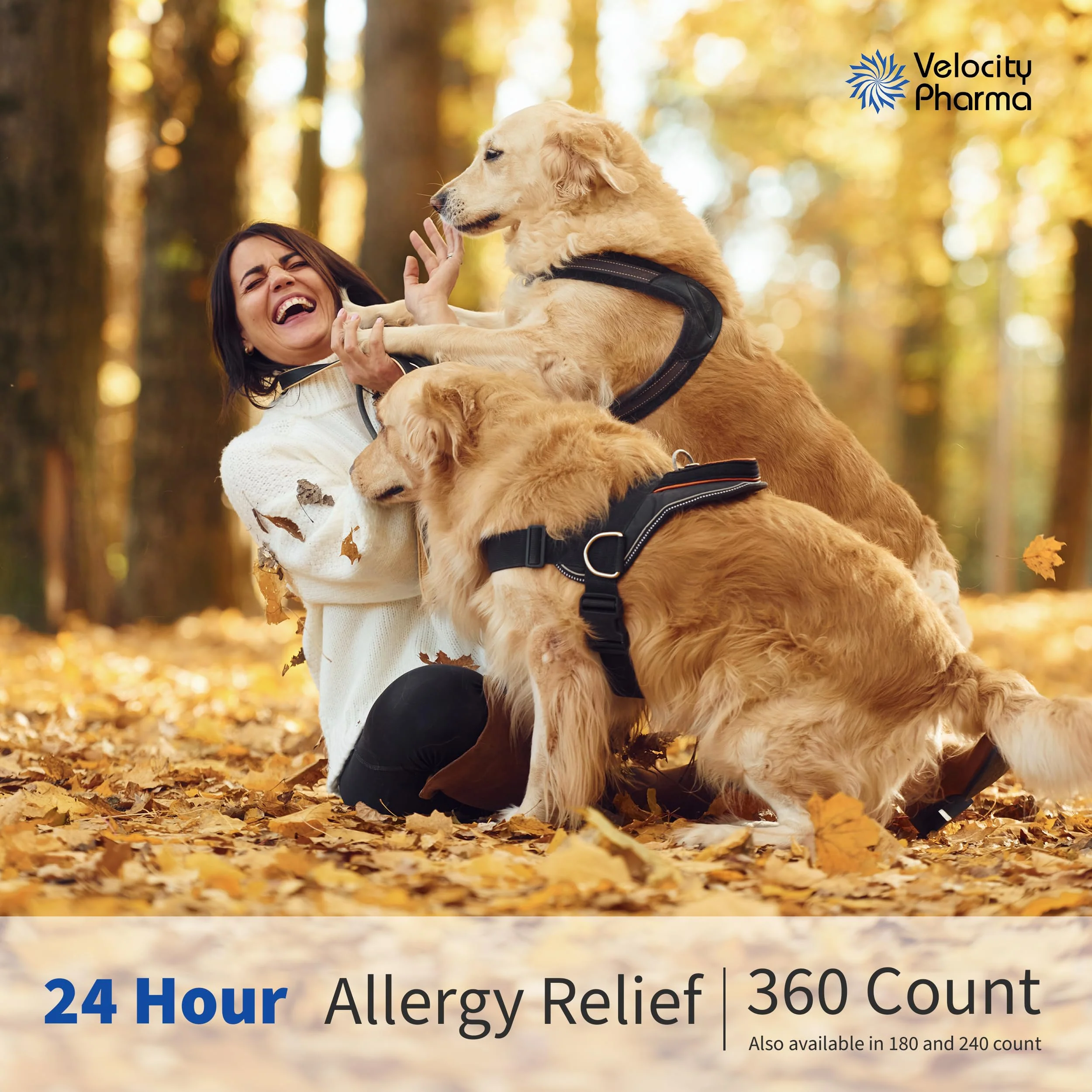 Velocity Pharma Levocetirizine Dihydrochloride 5mg USP Tablets, 24 Hour Allergy Relief Non-Drowsy Antihistamine, 360 Count - Image 2