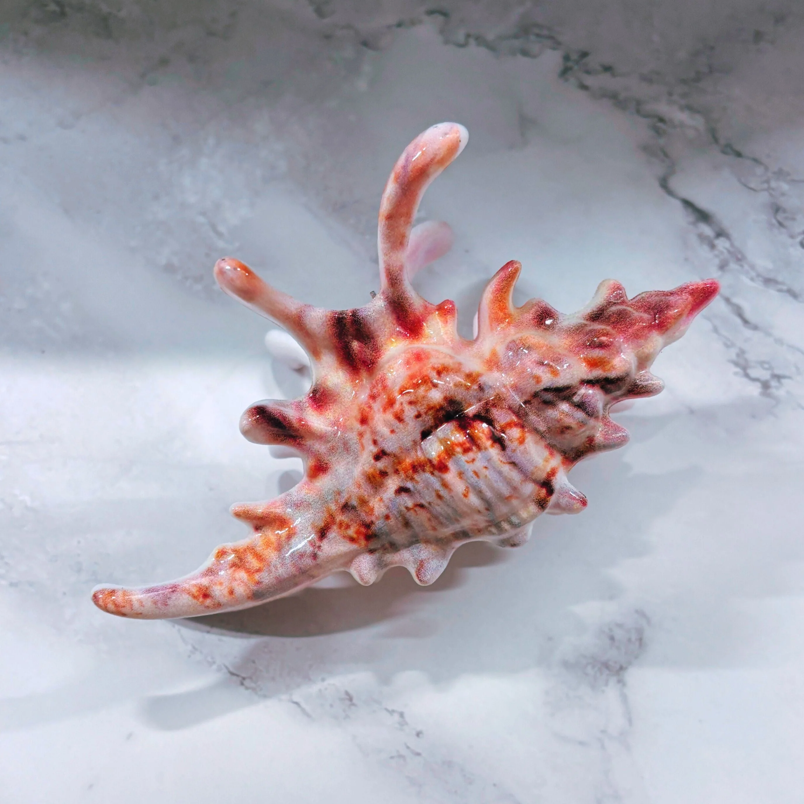 Velvet Claws Realistic Conch Shell Hair Claw in Natural Brown and White - Image 2