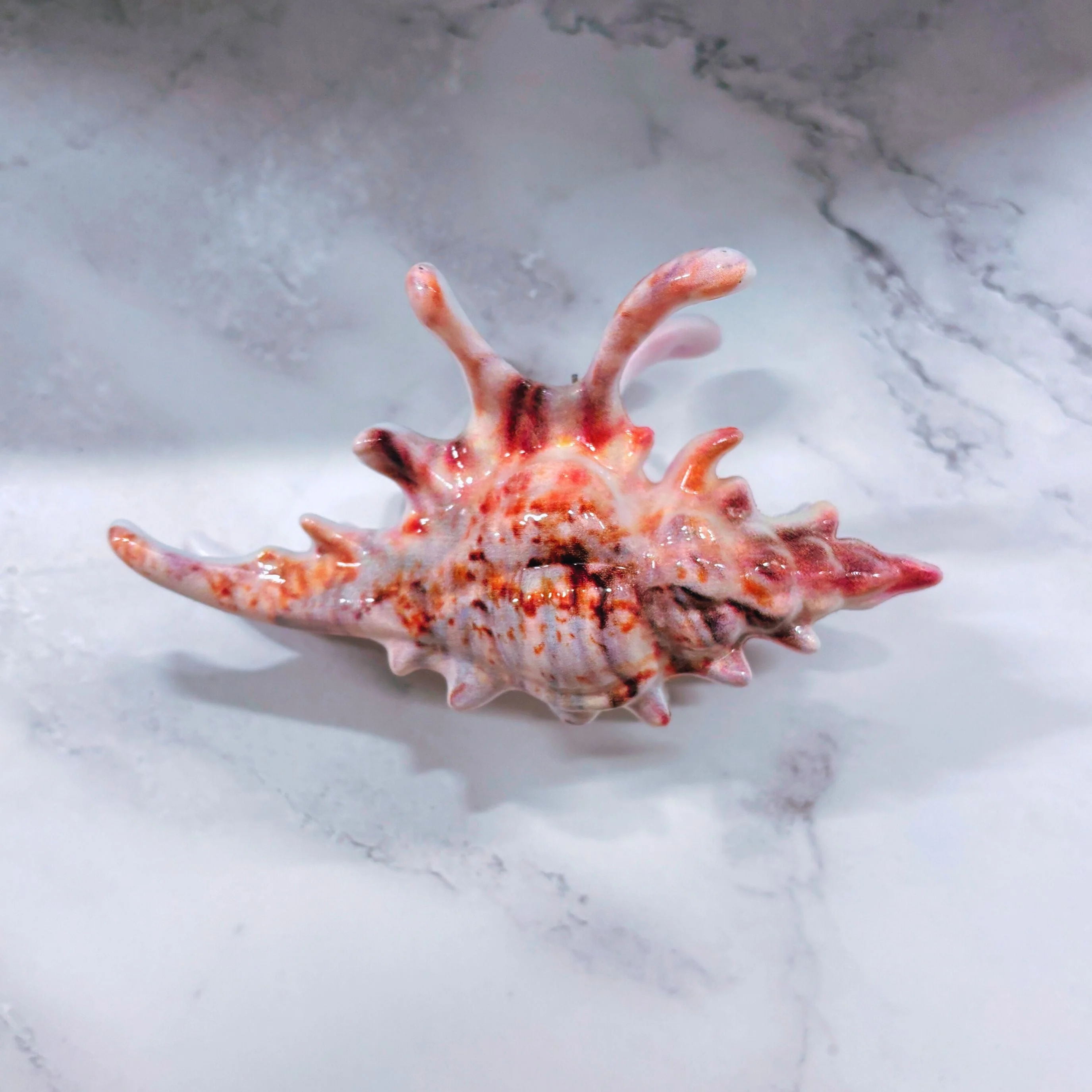 Velvet Claws Realistic Conch Shell Hair Claw in Natural Brown and White - Image 5