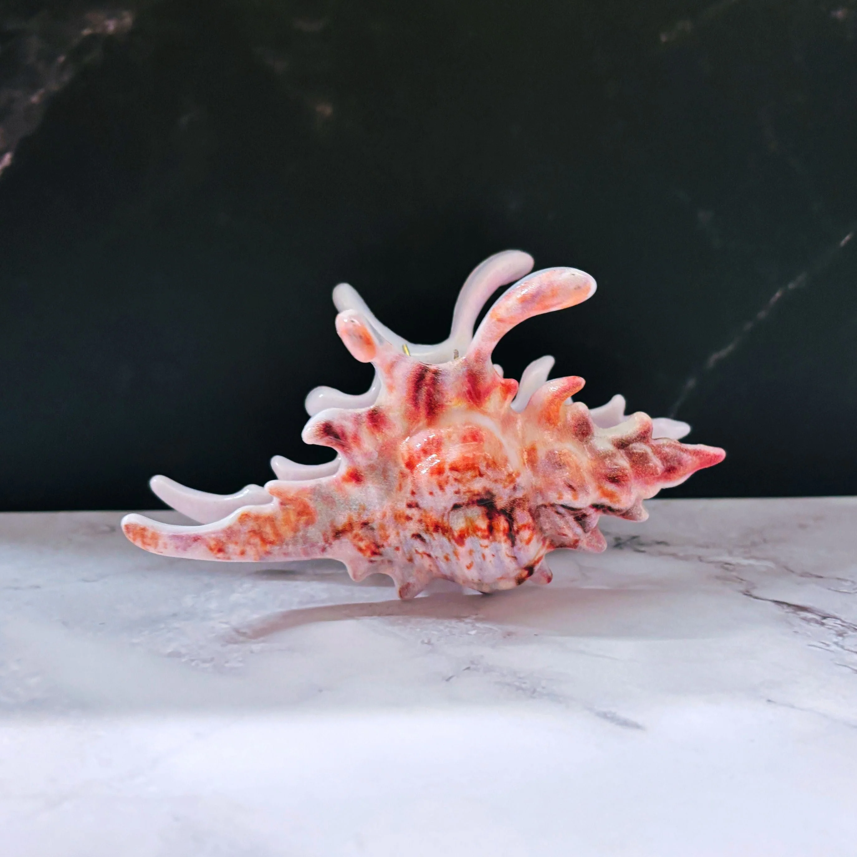 Velvet Claws Realistic Conch Shell Hair Claw in Natural Brown and White - Image 6