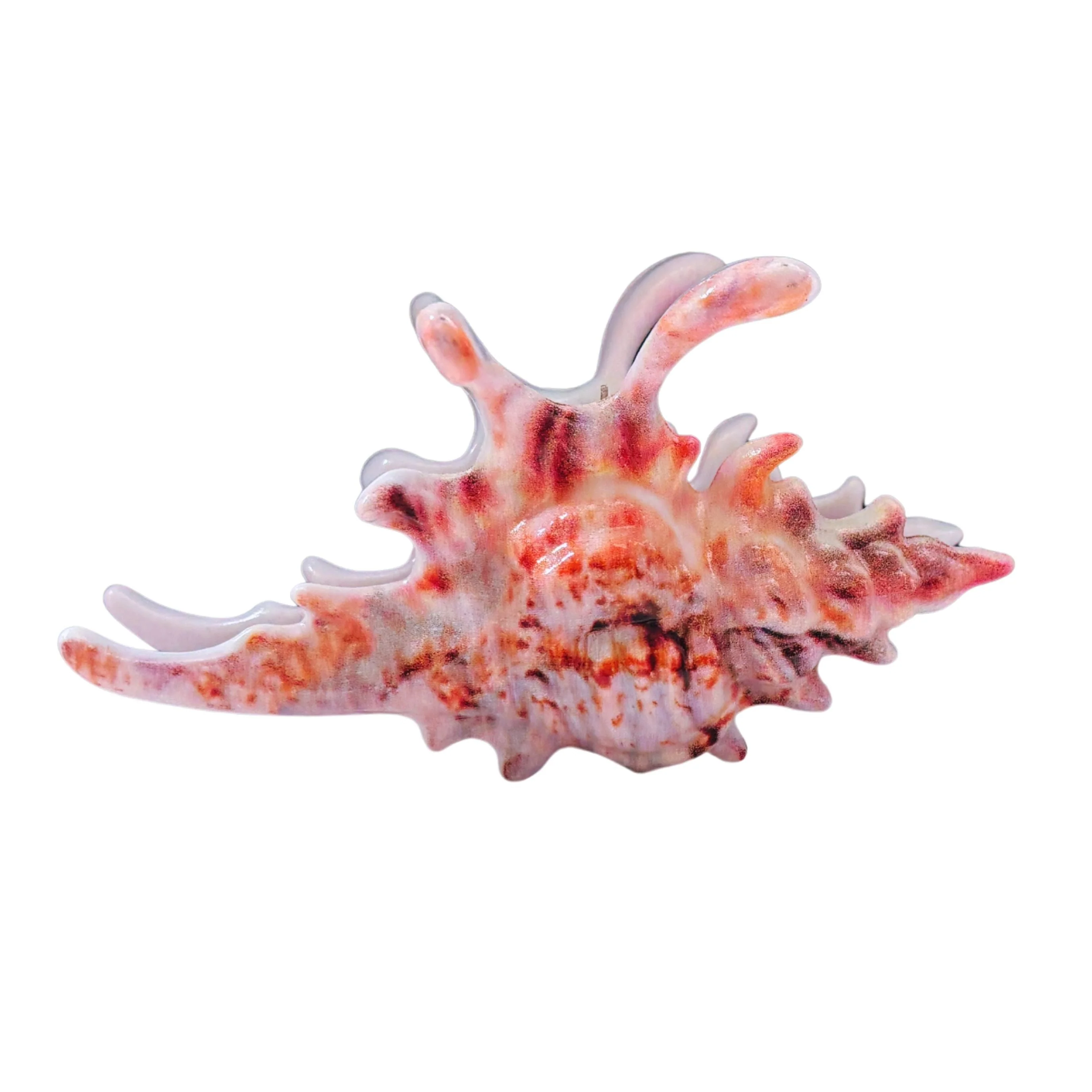Velvet Claws Realistic Conch Shell Hair Claw in Natural Brown and White - Image 7