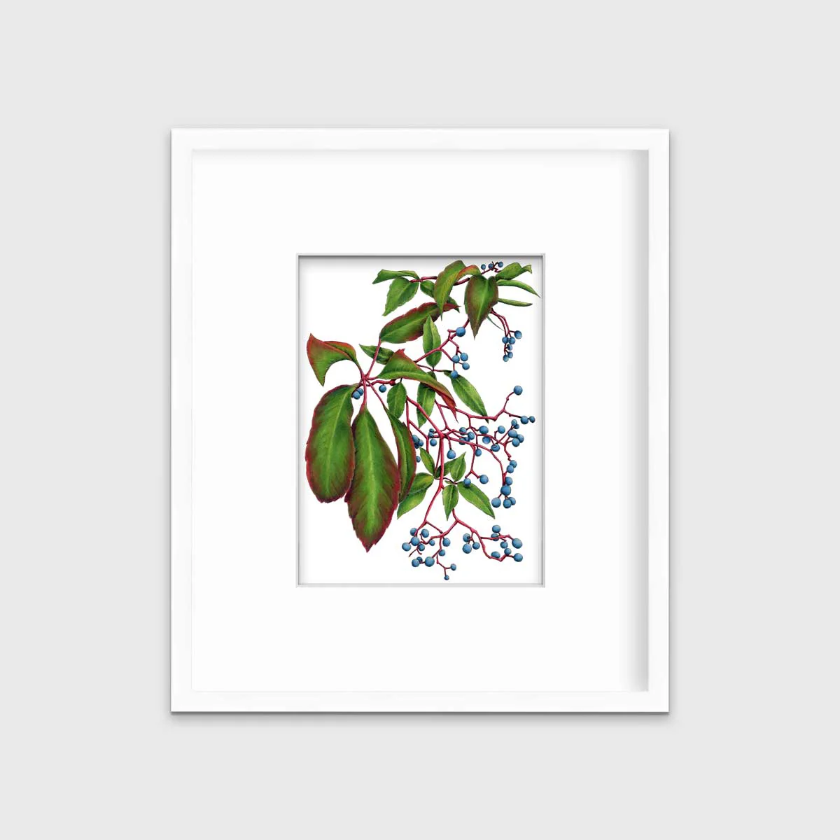 Virginia Creeper - Open Edition Paper Print - Image 5