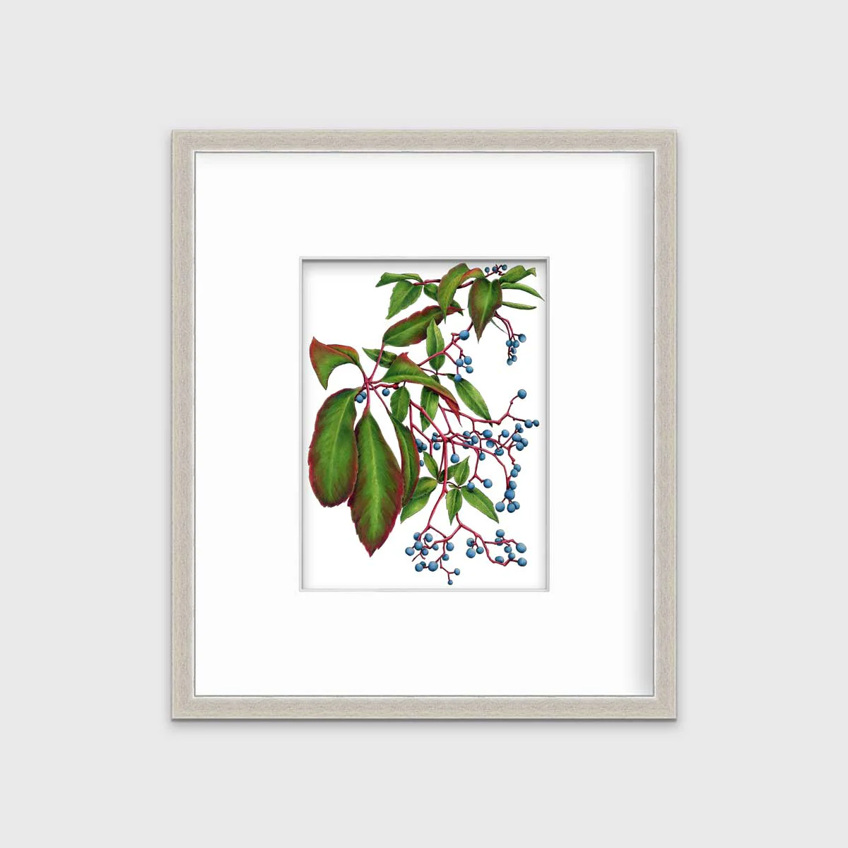 Virginia Creeper - Open Edition Paper Print - Image 6