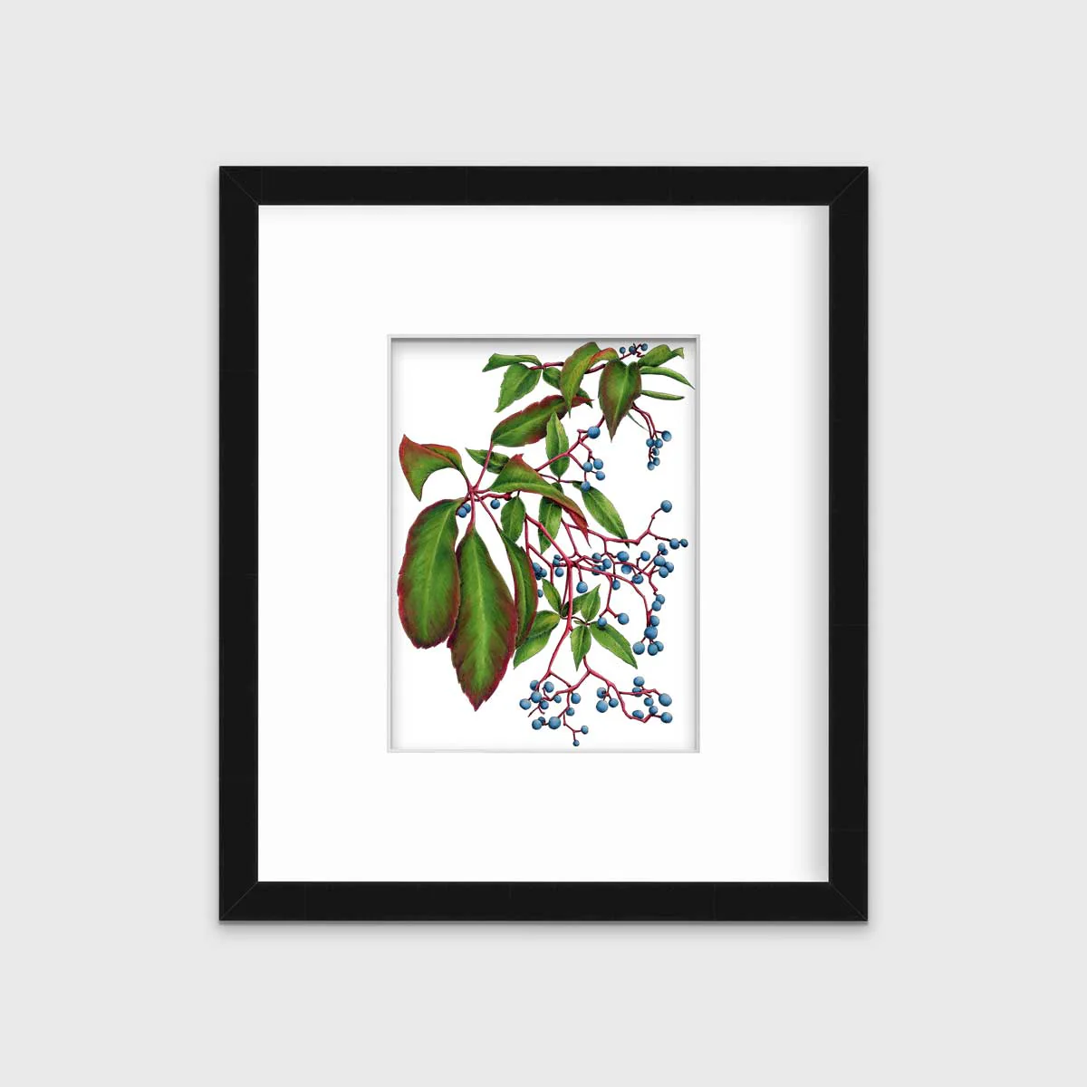 Virginia Creeper - Open Edition Paper Print - Image 7