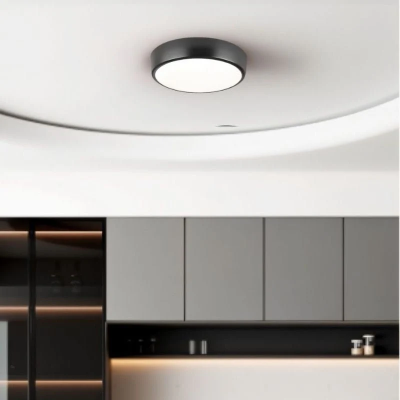 Viyan Ceiling Light - Image 3