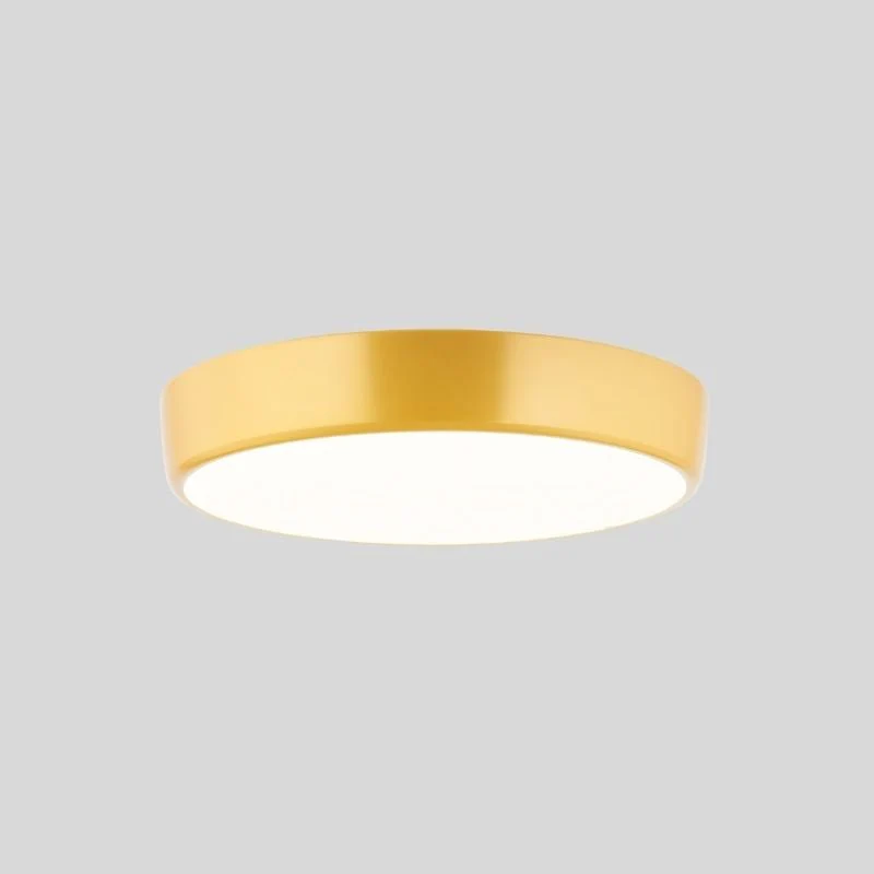 Viyan Ceiling Light - Image 8