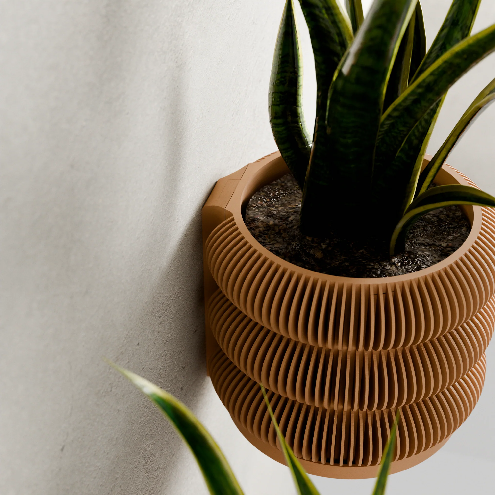 Wall Planter - Triple BUBBLES - Image 3