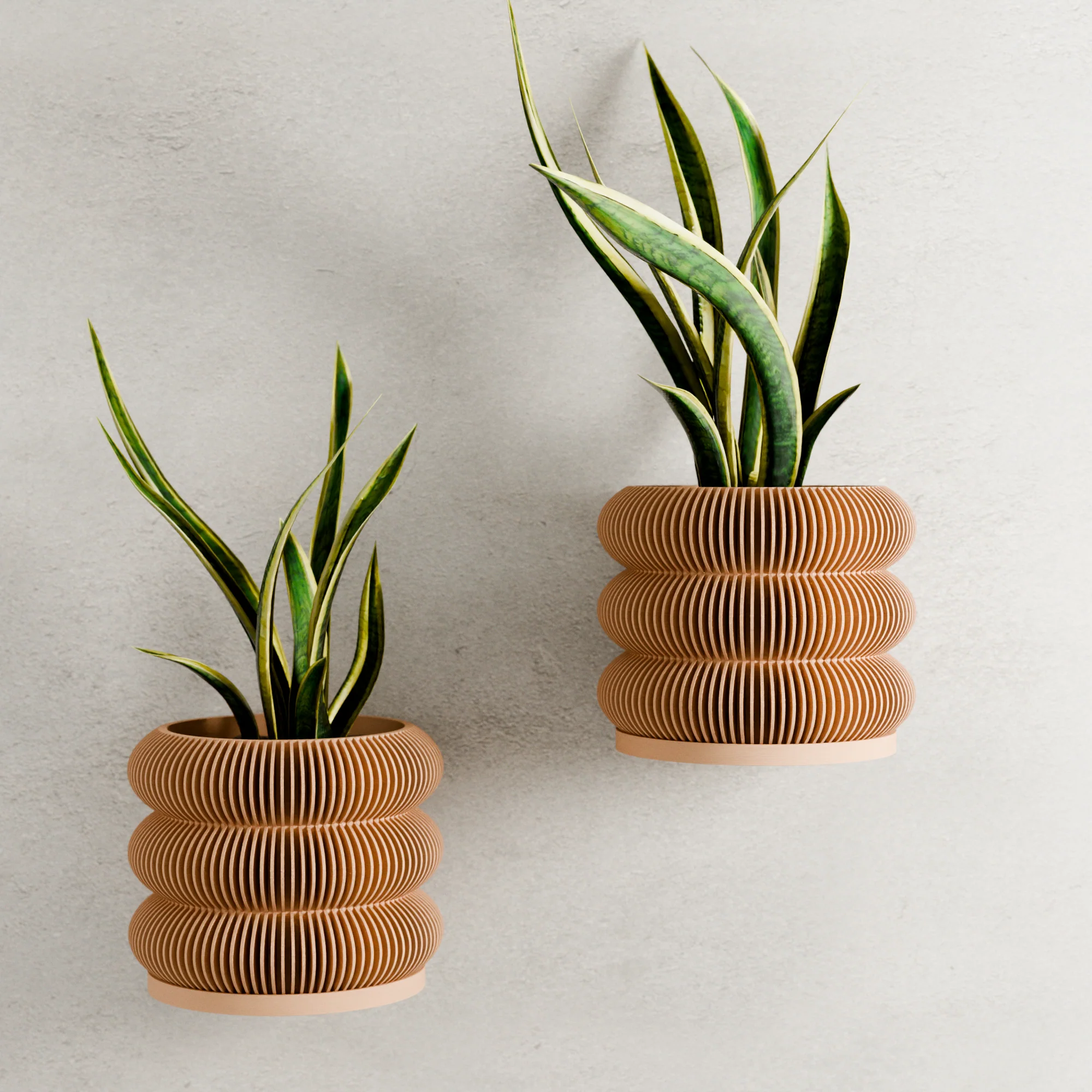 Wall Planter - Triple BUBBLES - Image 7
