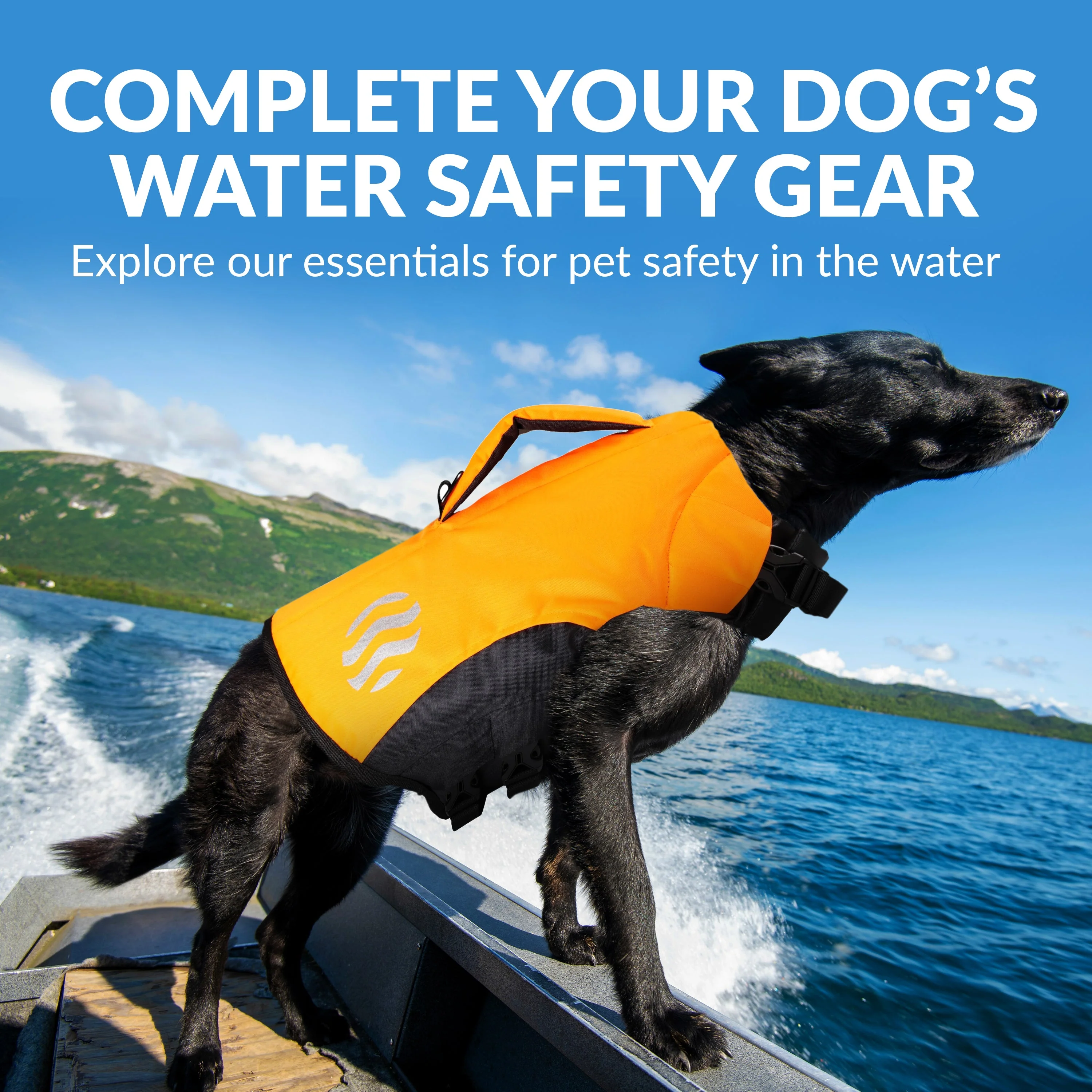 Water Dog Safety - Dog Life Jacket (5 colors) - Image 8