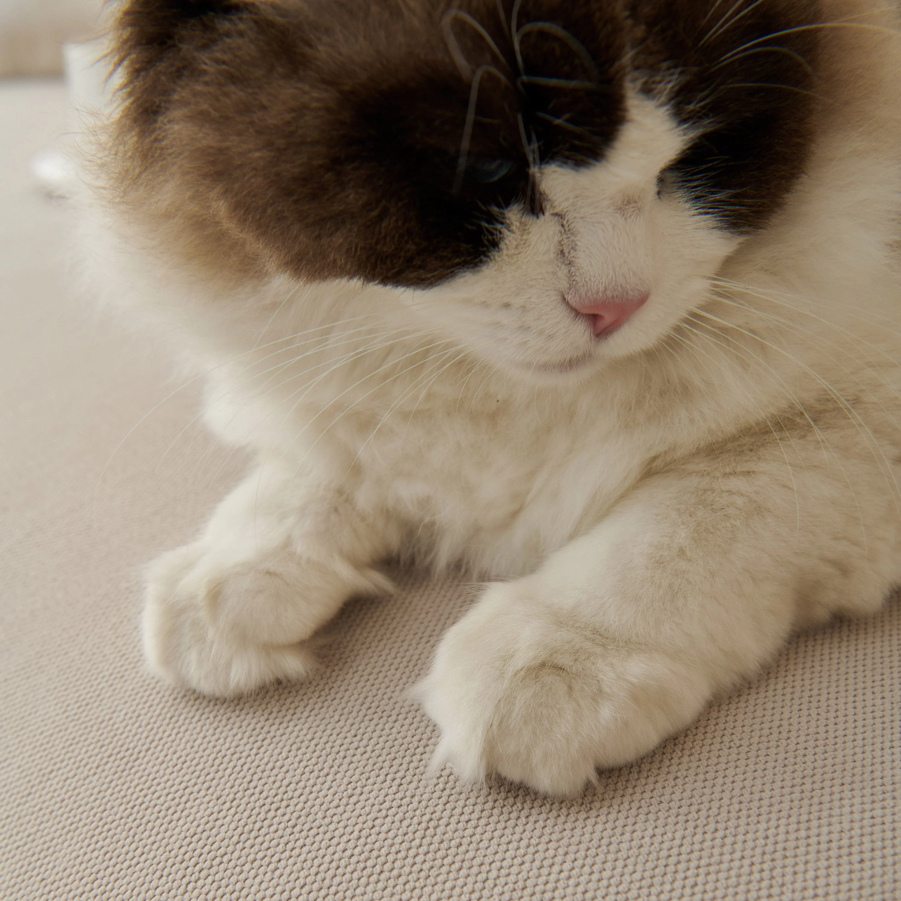 Waterproof Scratch Proof Sofa Protector Throw Blanket, Couch Cover for Pets & Kids - Image 18